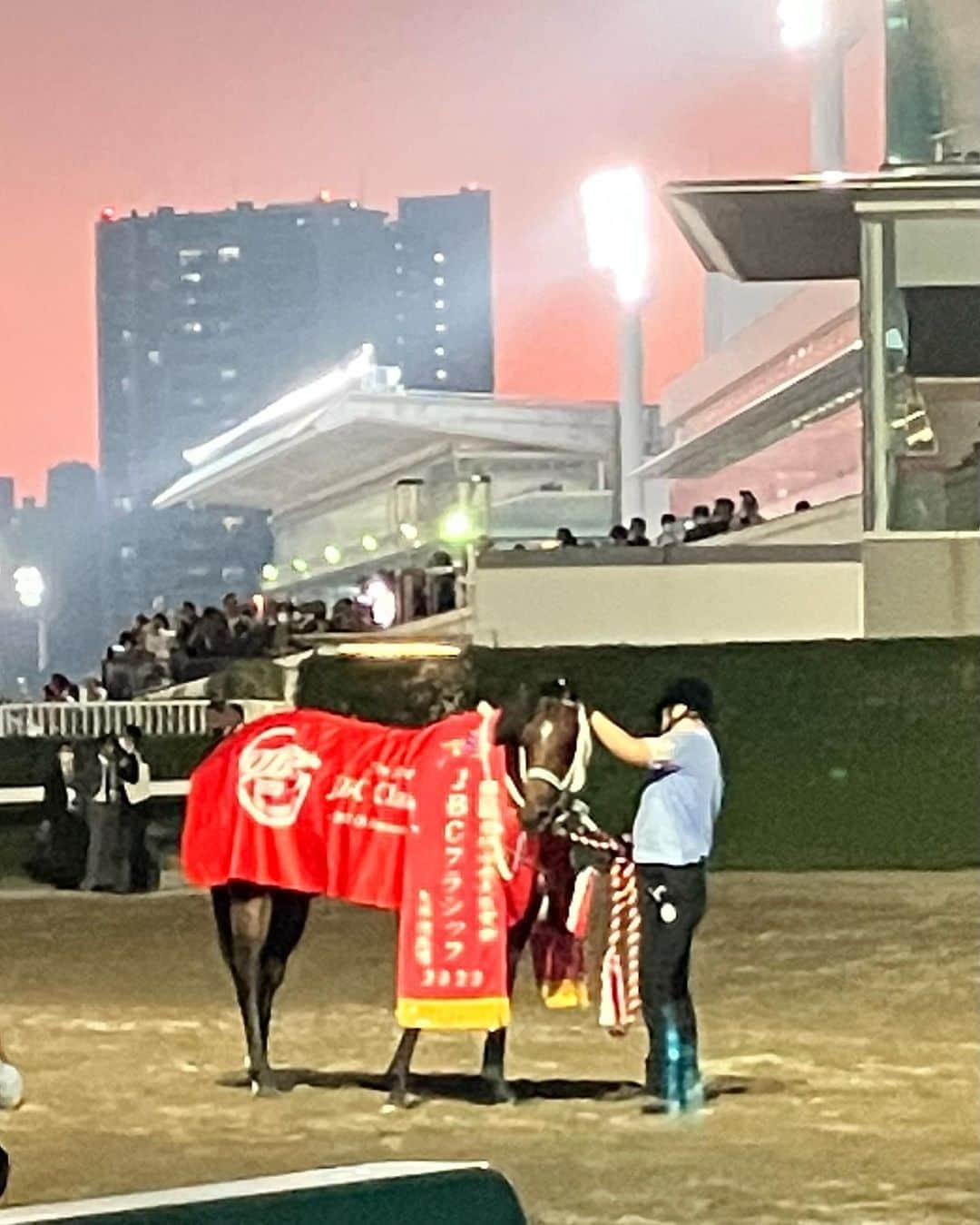 横山ルリカさんのインスタグラム写真 - (横山ルリカInstagram)「. JBC生観戦🐎✨最高でした🥳🎶  レディスクラシックはアイコンテーラーがV🎉 スプリントはイグナイターがV🎉 クラシックはキングズソードがV🎉 2歳優駿はフォーエバーヤングがV🎉  どのレースも見応えがありましたが、 イグナイターが勝った瞬間の2万人の大歓声と笹川コールは鳥肌でした✨🤩  あっという間にすぎた大興奮の1日😆🔥 楽しかった〜🌈  #bsフジ  #JBC2023 #生中継 #ありがとうございました #TCK #大井競馬場　 #ＪＢＣレディスクラシック  #アイコンテーラー #ＪＢＣスプリント #イグナイター #ＪＢＣクラシック #キングズソード #門別競馬場　 #ＪＢＣ2歳優駿 #フォーエバーヤング #おめでとうございました  #👗 #wildlily #ワンピースに見える　 #セットアップ #リボンブラウス  明日11/4（土）20:00〜【競馬予想TV!】🐎  🍁アルゼンチン共和国杯 🎑みやこS  予想バトルをお楽しみに🔥  #競馬予想TV #アルゼンチン共和国杯 #みやこS」11月3日 22時53分 - rurika_yokoyama_official