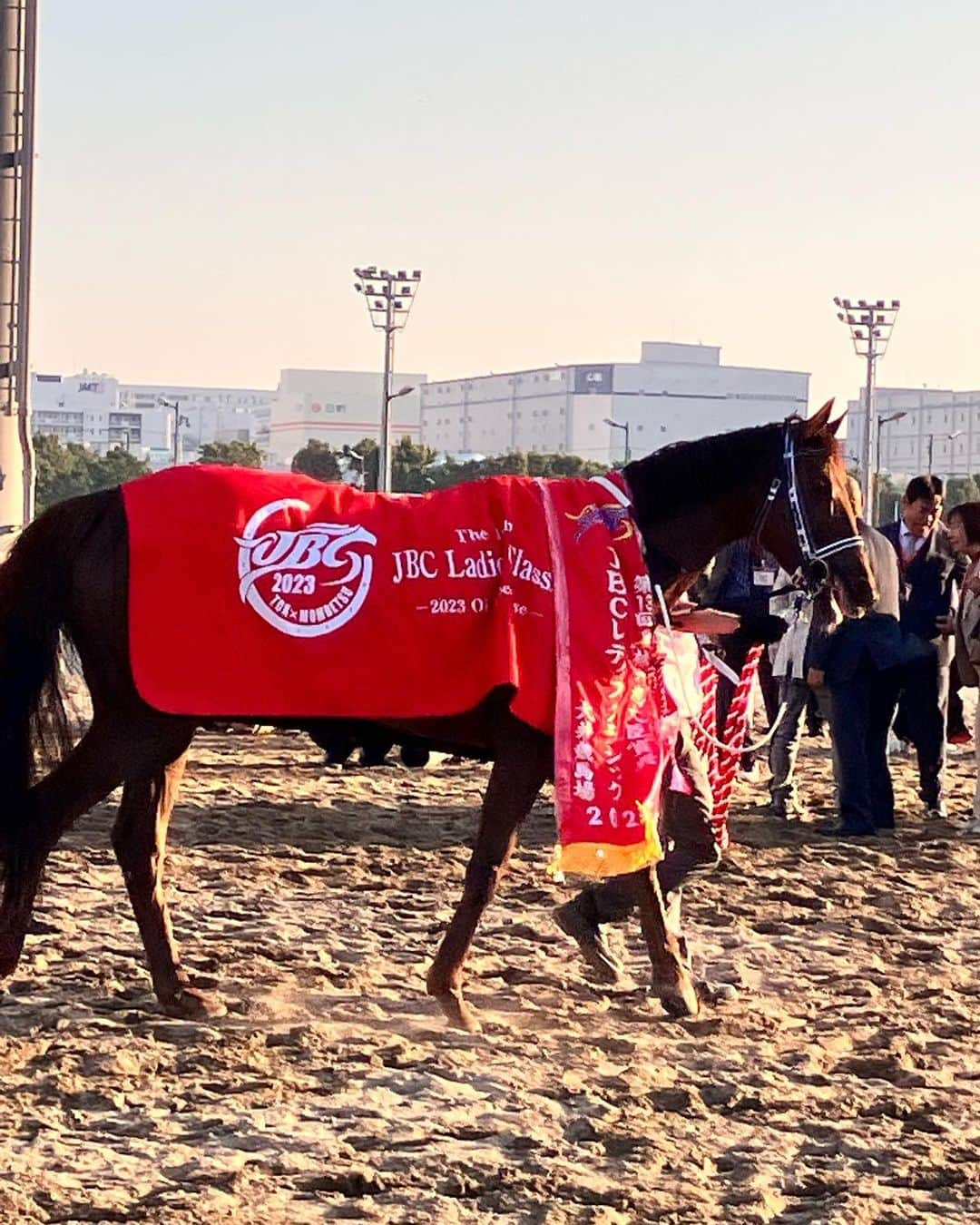 横山ルリカさんのインスタグラム写真 - (横山ルリカInstagram)「. JBC生観戦🐎✨最高でした🥳🎶  レディスクラシックはアイコンテーラーがV🎉 スプリントはイグナイターがV🎉 クラシックはキングズソードがV🎉 2歳優駿はフォーエバーヤングがV🎉  どのレースも見応えがありましたが、 イグナイターが勝った瞬間の2万人の大歓声と笹川コールは鳥肌でした✨🤩  あっという間にすぎた大興奮の1日😆🔥 楽しかった〜🌈  #bsフジ  #JBC2023 #生中継 #ありがとうございました #TCK #大井競馬場　 #ＪＢＣレディスクラシック  #アイコンテーラー #ＪＢＣスプリント #イグナイター #ＪＢＣクラシック #キングズソード #門別競馬場　 #ＪＢＣ2歳優駿 #フォーエバーヤング #おめでとうございました  #👗 #wildlily #ワンピースに見える　 #セットアップ #リボンブラウス  明日11/4（土）20:00〜【競馬予想TV!】🐎  🍁アルゼンチン共和国杯 🎑みやこS  予想バトルをお楽しみに🔥  #競馬予想TV #アルゼンチン共和国杯 #みやこS」11月3日 22時53分 - rurika_yokoyama_official