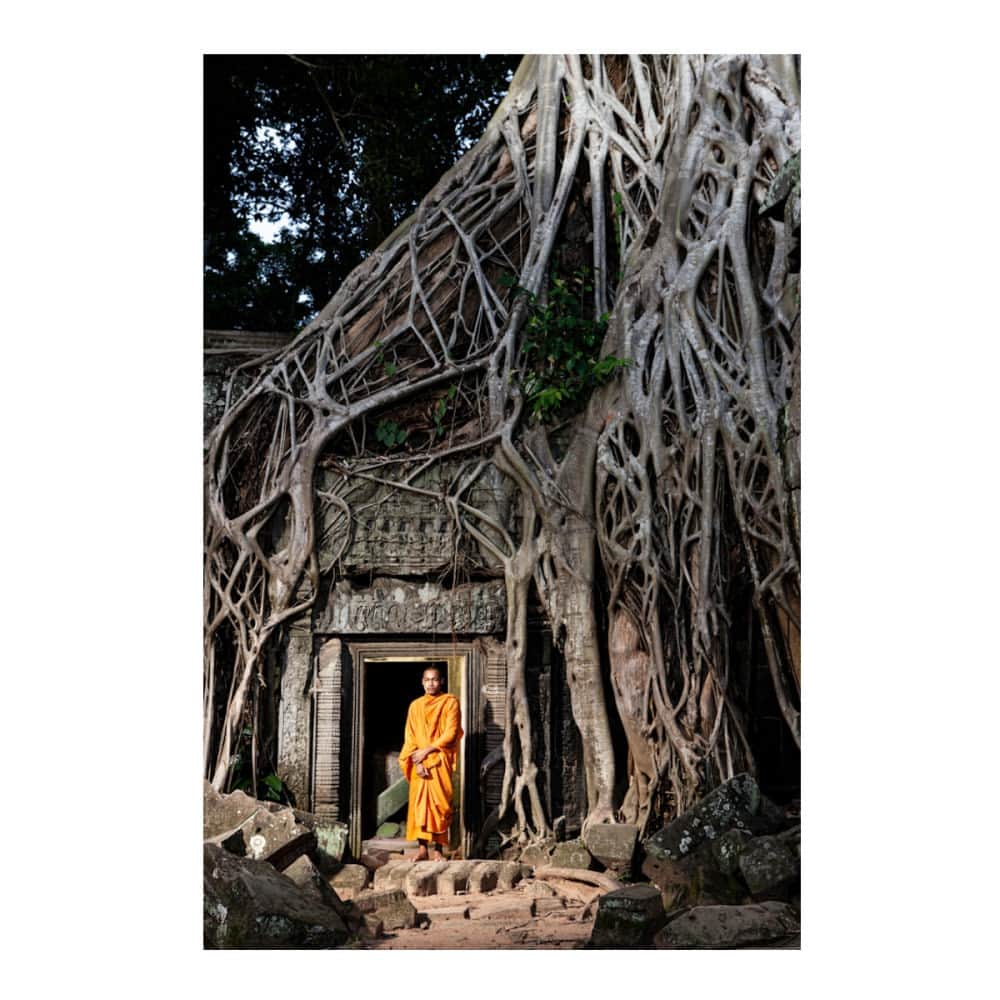 Robert Clarkのインスタグラム：「FRIENDS & FAMILY EVENT 🎉🫶  Visiting #AngkorWat on assignment for #NatGeo, is easily one of my favorite places I was have been able to travel to. I have produced 50+ stories and have worked in over 80 countries on assignment for the magazine, it is not lost on me that I have been very fortunate to have had the career that I have had so far. Thank you for your enthusiasm and support for my work, I value your interest and can’t thank you enough. As a special thank you, I’m starting a Friends & Family Event today that gets you early access to my 2023 Black Friday Sale!  Use code EARLYACCESS to enjoy 25% off my artwork before anything has a chance to sell out later this month.   Art shop linked in profile!  Ends 11/8.  #artsale #homedecor #interiordesign #taprom2limitededition #robertclarkphotography #angkorwat #TaProhm」
