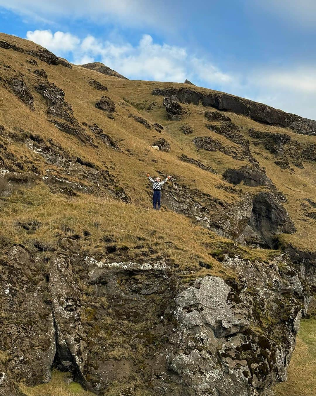 パイパー・アメリカ・スミスさんのインスタグラム写真 - (パイパー・アメリカ・スミスInstagram)「I want to grow to 1,000 feet tall. I’d be a giant then. And step all over this place.   But my big feet like feathers so no step destroys. Only massive exploration at a speed as fast as my curiosity. 5’11” isn’t cutting it.   The green hues draw out my breath and the gold lights me up. Black and blue deliciousness.   The wind carries me to the next place and then tells me when it’s time to leave.   Who is the angel that let me be here? Who is that God that gave me the eyesight? Who is the friend I need to bring back?   As far as I can look, I simply need to consume it.   When I am the giant and stomp over mountains, I’ll bend down so small and meet every single sheep that chews through these hills. My pinched fingers will pick up each cotton ball and I’ll kiss their little skulls.   I want to lay on the frozen grass until it braids over me. I have to be big enough to hug the whole volcano.  I will honestly eat the moss. And through a straw I will drink up the lagoons. I cup my giant hands beneath that waterfall and splash it on my face.   I don’t know why consumption is the answer. My instincts just want to eat this place. The crushed oreo cookie crumb beach washed down with a rinse of creamy white cold foam the sea pushes up the shore.   When I am the giant,  where there are no rules,  why I eat a sampling of every little land mark,  I do become this place.   Like Violet turning Violet at Willy Wonka’s chocolate factory.  I am a mossy, wet, salty soul of wind.」11月3日 14時44分 - pyperamerica