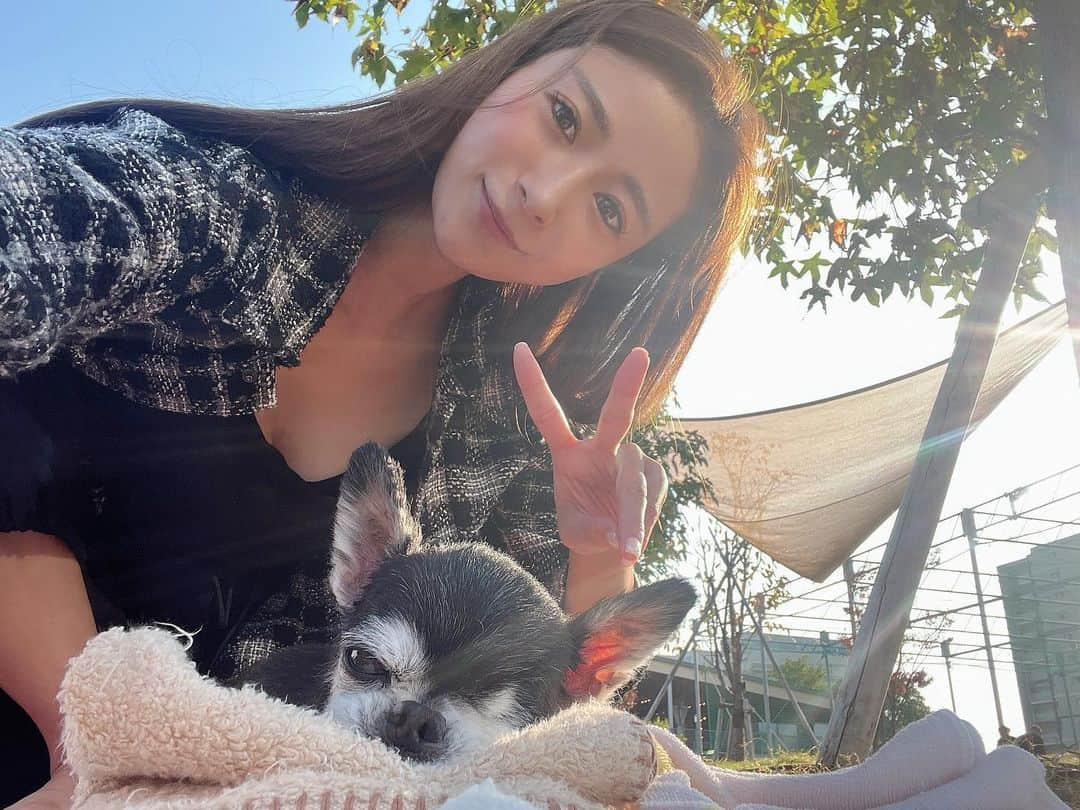 児玉菜々子さんのインスタグラム写真 - (児玉菜々子Instagram)「お天気良かったから連れてきた🐕🍀  着いた瞬間に大量のお漏らししてしまって幸先不安だったけど、そこからはお天気が気持ち良かったのかずっとポヤポヤしてくれてた☺️🌸  たけしはもう目も耳も見えないし聞こえてないから、お外の土の香りや草の香り風の香りいっぱい嗅がせてリラックスしてもらったよ🌱  もちろん安心できるようにお家の匂いがついてる毛布も忘れずに😂  飼い主がすっぴんなのは 無視してください😂  皆たけしに愛のコメント待ってるよ🐕❤️🐕 #保護犬を家族に   #犬 #チワワ #ちわわ  #ちわわ部  #チワワ部  #チワワ画像  #チワワ大好き  #chihuahua  #dog #doginstagram  #保護犬 #保護犬を家族に  #保護犬出身  #ペットショップ反対  #ペットショップへ行く前に里親になる選択を  #instagood  #instadaily  #followme #犬バカ部  #犬バカ部」11月3日 21時30分 - nanaco.conana