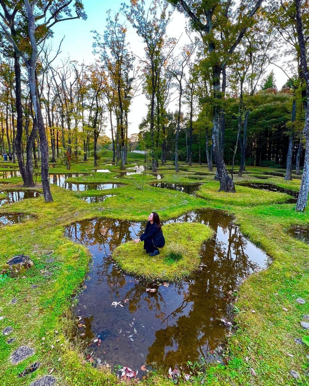 橋本真依さんのインスタグラム写真 - (橋本真依Instagram)「・ 🍁🍁🍁🍁🍁 ⁡ 水池の表情が夕方と朝で違う。 お気に入りの写真がいっぱい🌿 ⁡ ⁡ ⁡ ⁡ ⁡ ⁡ #女子力ねーさん#紅葉#🌿#🍁#🍂 #那須塩原#アートビオトープ #ご飯がめちゃ美味しい #全部壁があくお風呂が最高 #陶芸初体験#不器用まいちゃん #artbiotop#nasu」11月3日 15時37分 - hashimotomai430