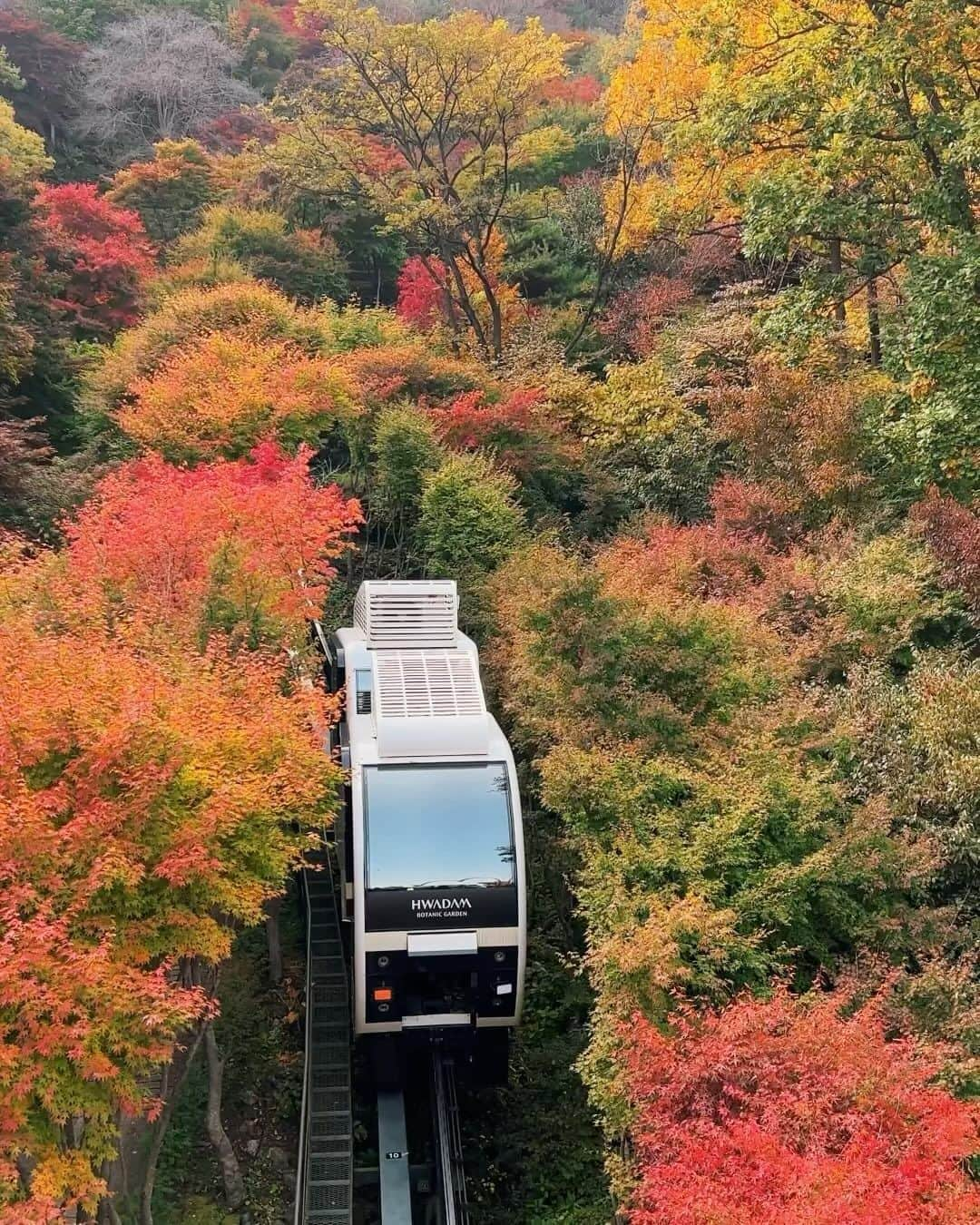 キム・ナヒのインスタグラム：「가을 소원 이뤘다!  예쁘게 물들었던 화담숲..🍁」