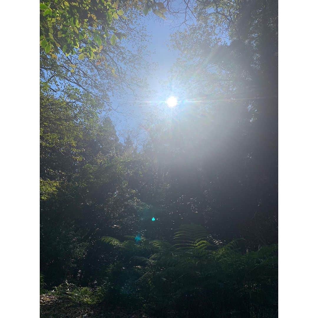 桃生亜希子さんのインスタグラム写真 - (桃生亜希子Instagram)「11月1日の南伊豆は、光と闇のコントラストがはっきりとして、完璧な美しさだった。 　 　Rumiさんの素晴らしいsouth forestのコテージで過ごした時間は、奇跡とお笑いの連続。🌈✨😂 　 　泣いて笑って、焼きそば食べて、最後は人生で初、数えきれない程のUFO🛸に出会うというぶっ飛んだ1日。🛸📼✨🌈✨😆(どういうこと？笑)  　こちらにコンタクトをして来てくれた彼らの波動は、愛　だったよ。♾️  　奇跡を、信じるしかなくなった日。✨  　感謝。❤️🙏  #焼きそばだからufoなのか　#何故か山の所々でヤンキー座り　#奇跡とコントの旅　#死者の日 #11月1日 #ufo #love #奇跡　#miracle #南伊豆」11月3日 15時41分 - pinokosugar