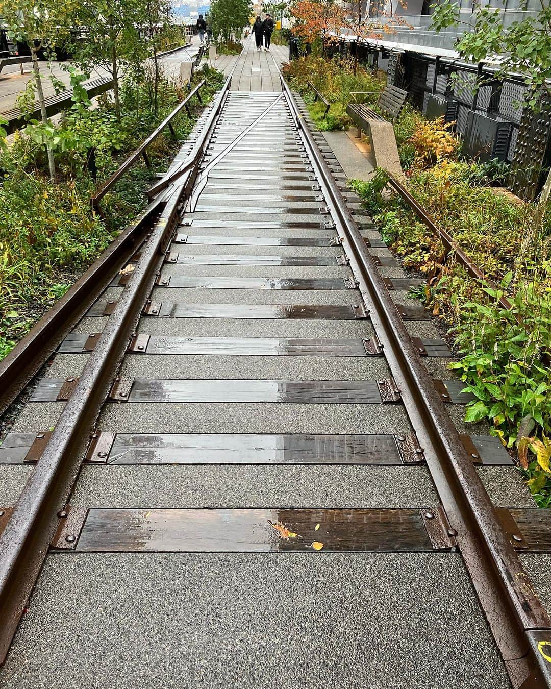 ふかしさんのインスタグラム写真 - (ふかしInstagram)「鉄道の高架跡を再開発したハイライン公園  #ハイライン  #ハイラインパーク  #highline  #highlinepark  #nyc」11月3日 16時30分 - fukashi