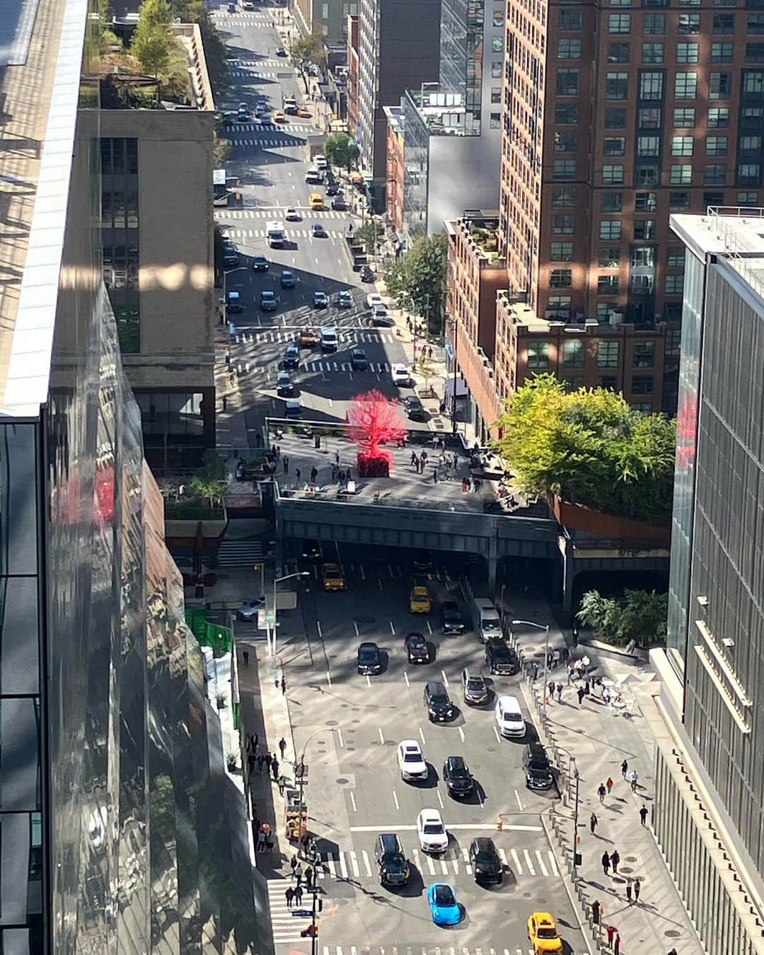 のインスタグラム：「鉄道の高架跡を再開発したハイライン公園  #ハイライン  #ハイラインパーク  #highline  #highlinepark  #nyc」