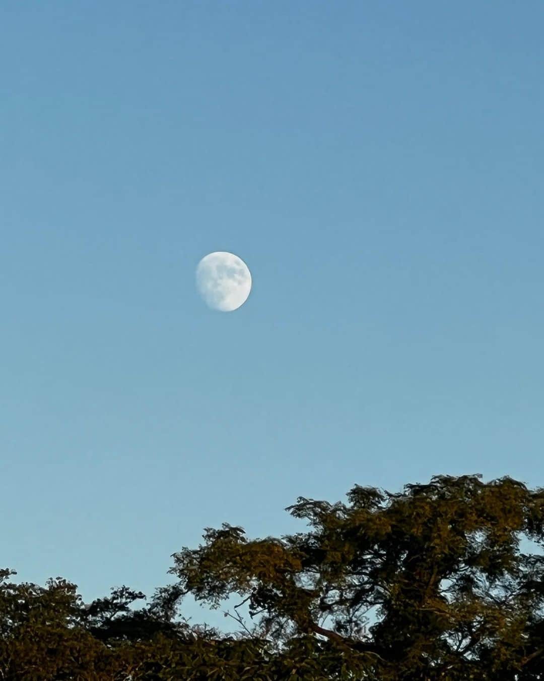 eillさんのインスタグラム写真 - (eillInstagram)「@botanicalpoolclub 🧊🦋  温水プールでおしゃなカクテル飲んでサウナはいって星をみて月を眺めて最高ちゃん」11月3日 17時18分 - _eill_