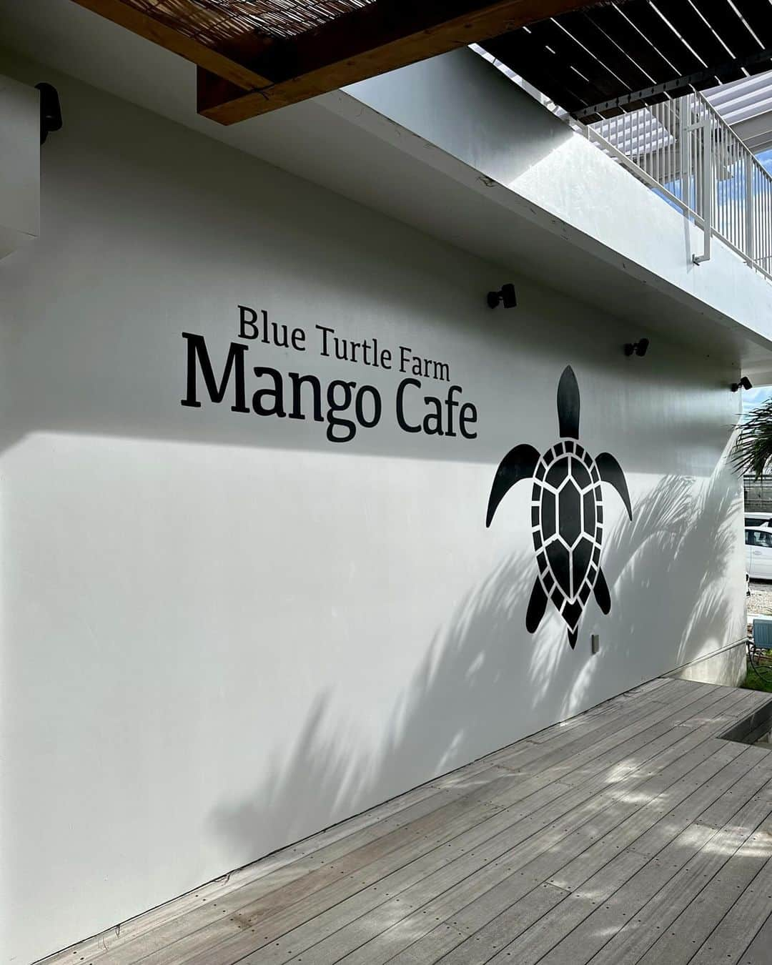 山崎みどりさんのインスタグラム写真 - (山崎みどりInstagram)「Blue Turtle Farm［Mango Cafe］ @blueturtlefarm_miyako   みんなでcafeへ🍹 入り口から素敵なジャングルがあってかわいかったぁ🌿  Photo by @insta_haam   White see-through dress.. @shein_japan  商品ID【13067207】 📌Coupon Code【23FWJP42】  ～¥5,999 ...15%off  ¥6,000〜 ...20%off   ────────────────────────── #miyakojima #miyako #miyakoisland #miyakocafe #cafeめぐり#cafe」11月3日 17時30分 - midori_yamasaki_