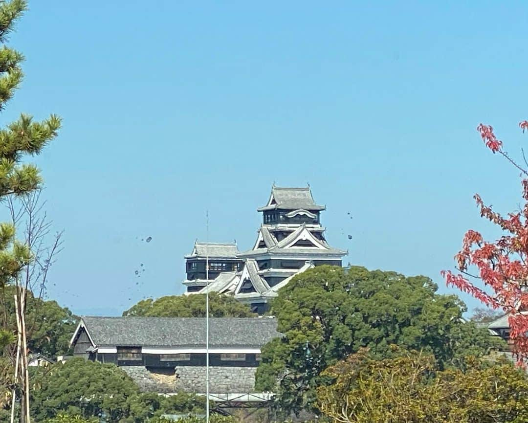 石川さゆりさんのインスタグラム写真 - (石川さゆりInstagram)「11月3日文化の日 日本中晴天☀️熊本も雲ひとつなくこんな季節を感じない気候😳だなんて...  故郷、熊本城ホールでコンサートでした。 ステージで出る最初の言葉はやはり 「ただいまー❣️」 お席からも「お帰りなさい。」 嬉しいですね❤️ 明日は北九州でコンサートです。  ロビーに水俣の「若かった患者の会」の皆さんからも大きなお花をいただきました。  皆んな元気に過ごしていますか？会いたいです。  明日もエンヤートット〜✨🎶💨💨💨 元気に楽しくです。🎶💨💨  #石川さゆり #sayuriishikawa #ふるさと #熊本 #コンサート #熊本城ホール #水俣 #北九州 #ちょっと気になる」11月3日 17時36分 - sayuri_ishikawa_official