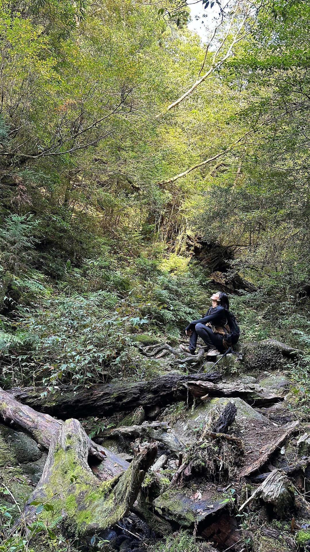 李ヒャンのインスタグラム：「念願だった屋久島。 数年前までは山登りなんて全然興味なかった私が山登りしようと思ったきっかけは骨折して、雪山復帰と屋久島登山を目標に掲げてリハビリ頑張ろと思ったのがはじまり。 昨年屋久島前にと熊野古道から登山デビュー。 距離も時間も屋久島より短かったけど、屋久島前に経験しておいて良かったなと実感した屋久島デビュー。 目標は縄文杉ではなく白谷雲水峡の太鼓岩手前辻峠。 7時に入山して下山したのは15時。 ゆっくりゆっくり登って、休憩もはさみはさみ、山小屋手前で1回体力限界迎え、チキンラーメンで復活w 苔むす森途中で再び限界を迎え、帰ってくる人に2回くらい "あとどれくらいですかね？"って聞き出すw 元々太鼓岩までは無理と判断していたけど、辻峠までは絶対クリアしたかったから予定より時間押していてもう引き返すか？ともなったけど、せっかく来たし目標クリアまで頑張ったー。 目標達成できて感無量。 そこから1時間30分くらいかけて無事下山。 道中たくさん写真も撮ったけど、その素晴らしさは写真では全く伝わらない。 とにかくずーっとジブリの世界。 人生ほとんどの時間を都会で暮らしてきた私には日本にこんな素晴らしい自然が存在していてそれを体感できていることにただただ感動しかなかった。 そして、絶対森の妖精がいるよねってなんだか不思議な気持ちにもなった。 道中何度も湧水をくませていただき飲んだ。 あんなに水が美味しいって思ったのははじめて。 人間は自然に生かされているって事を決して忘れてはいけないなと強く思った屋久島旅。 また絶対行きたいし、行ったことない人には絶対訪れて欲しい場所。 1ヶ月のうち35日雨が降る。 と言われるくらい降水確率が高い屋久島で1ミリも雨に降られず、最高のコンディションで挑めた事に感謝しかない。 次は太鼓岩もしくはウィルソン株まで距離伸ばせたらいいなー。(あくまでも目標w) ご飯屋、温泉メモ *新鮮な魚料理とお寿司の店　"いその香り" *ハラミが絶品　"れんが屋" *蕎麦がなくなり次第閉店　"きらんくや" *ヌルヌルお肌つるつる温泉　"尾之間温泉" 全ての情報教えてくださり、屋久島の話だけじゃなく色々なお話しを聞かせてくださった @anandachillage のオーナー夫婦のお二人にも感謝です🙏 最高の屋久島デビューの旅でした♡ また行けるように体力作り頑張るぞー！ #屋久島　#屋久島トレッキング」