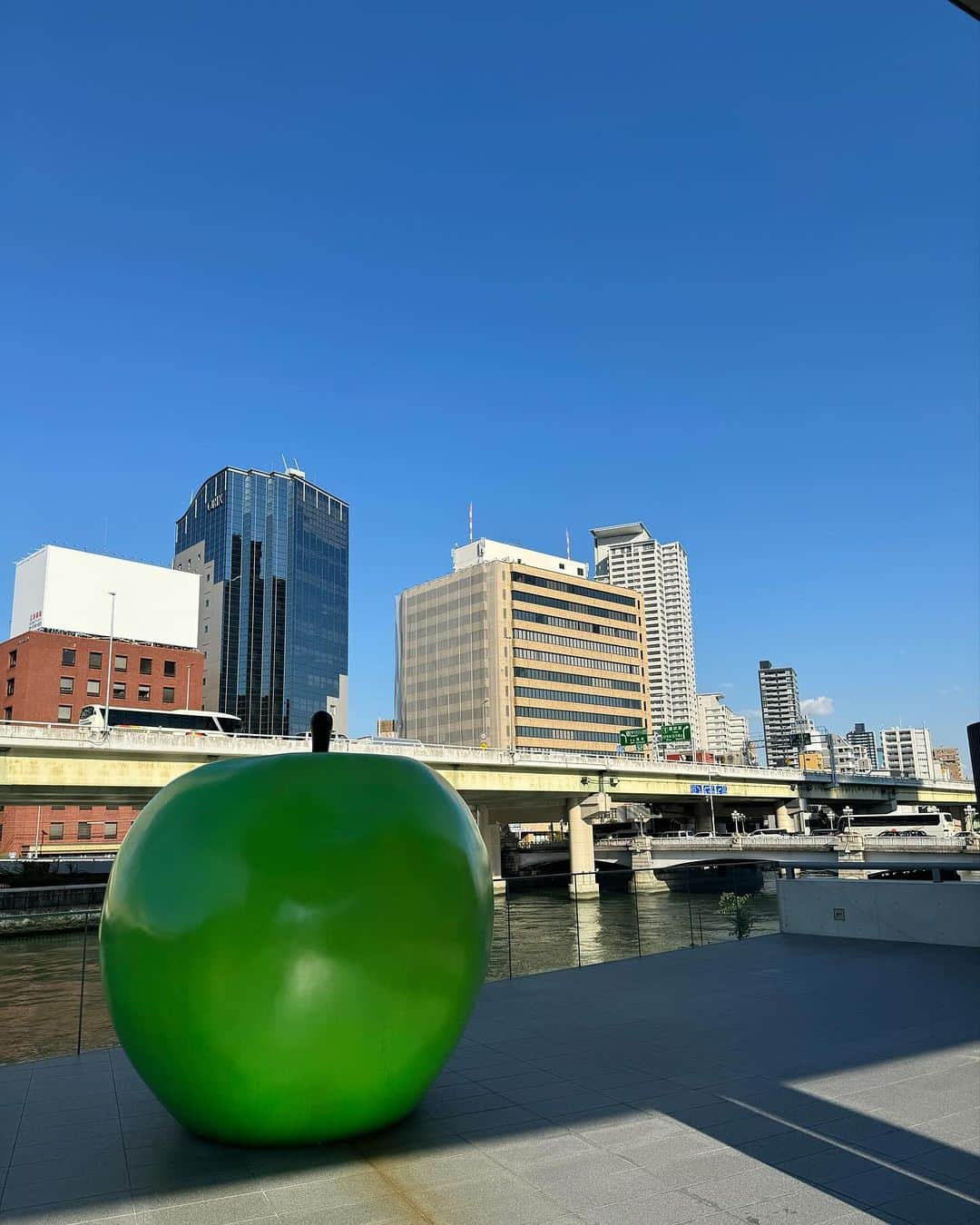 小水彩さんのインスタグラム写真 - (小水彩Instagram)「永遠の青春🍏　#安藤忠雄」11月3日 18時02分 - aya_iitoto