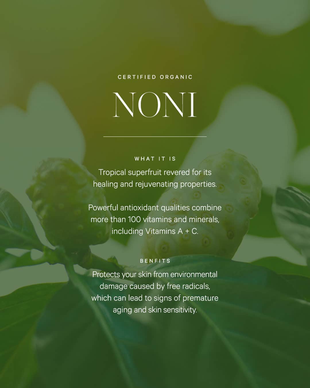 KORA Organicsさんのインスタグラム写真 - (KORA OrganicsInstagram)「@mirandakerr discovered Noni at age 13 and has incorporated the supefruit in her daily life ever since. With over 100 vitamins + minerals, making it a key ingredient in all KORA products was a "no-brainer". This glow-inducing powerhouse is valued for its many skin benefits including:  🌱 Anti-Aging 🌱 Anti-Inflammatory 🌱 Antioxidants  That's why we call it the 'Noni Glow' 😉」11月4日 0時01分 - koraorganics