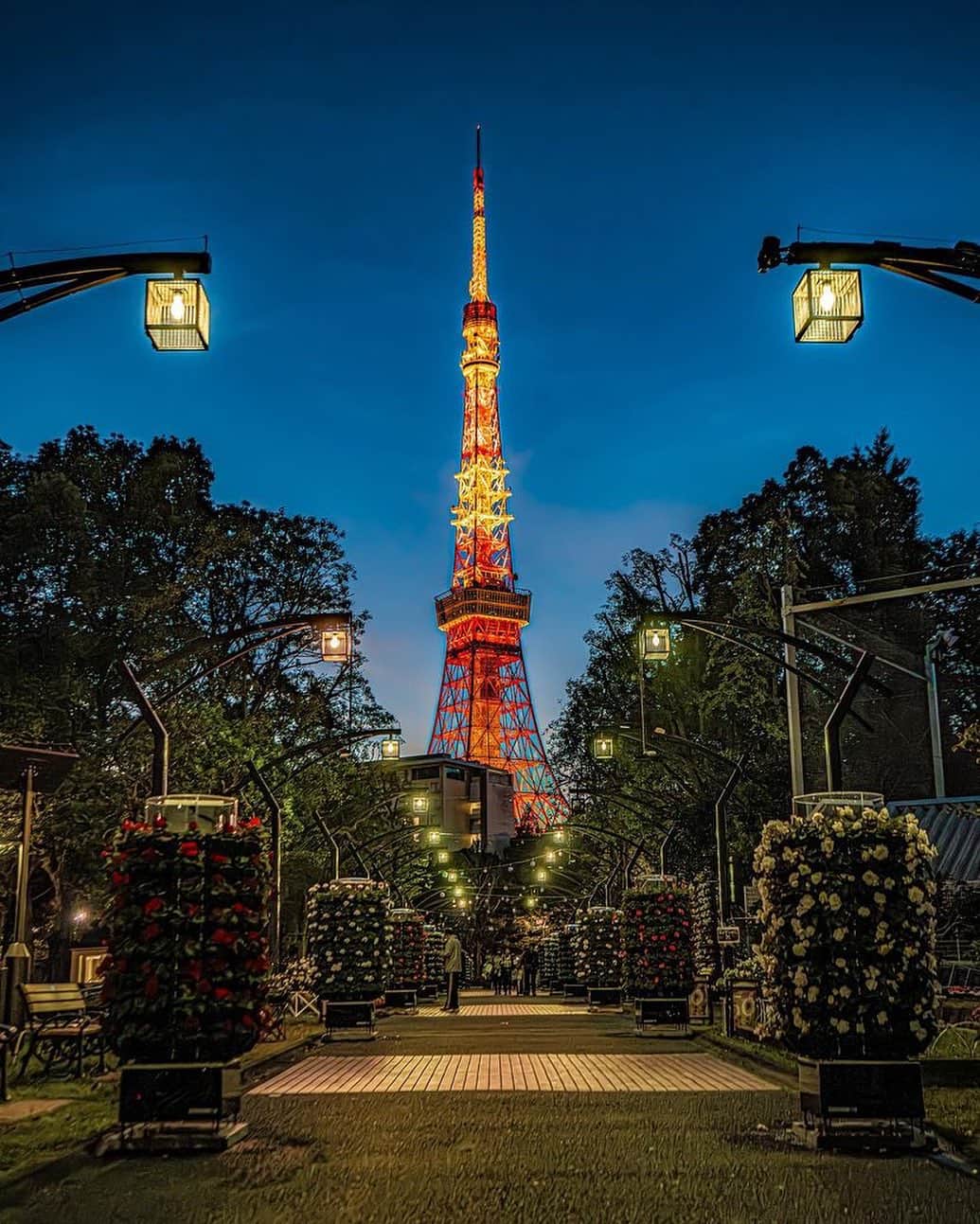 東京タワーのインスタグラム：「. 150周年を迎えた都立芝公園！  現在、芝公園では 特設花壇 & ライトアップでお祝いをする 「花と光のムーブメント」 芝公園×150th anniversaryが 4号地にて、行われています！  芝公園4号地は、 左右対称の街灯が連なっており、 その先に東京タワー🗼が見える 人気写真スポット✨  更に、今は花壇も左右対称に装飾されて いつも以上に華やかなお写真が撮れますね！  本日は、Your Tokyo Tower🗼から @my_brand_new さんのお写真をご紹介！  素敵なお写真をありがとうございました😊  ———————————  【 お知らせ 】  🆕 TikTok  東京タワーの公式TikTokアカウントが 開設されました！  詳細はプロフィールにあるリンクから↓ @tokyotower_official  ■ 公式LINE  東京タワー公式LINEでは 東京タワーのイベント情報を お届けしています！  詳細はプロフィールにあるリンクから↓ @tokyotower_official  ■ Your Tokyo Tower 🗼  # your_tokyotowerで あなたの東京タワーをリポスト！  @tokyotower_official の タグ付けをしてくれると見つけやすいよ！  皆様からの投稿 どしどしお待ちしております！  ———————————  #東京タワー #東京タワー🗼  #tokyotower  #tokyotower🗼  #芝公園 #お祝い #イベント」