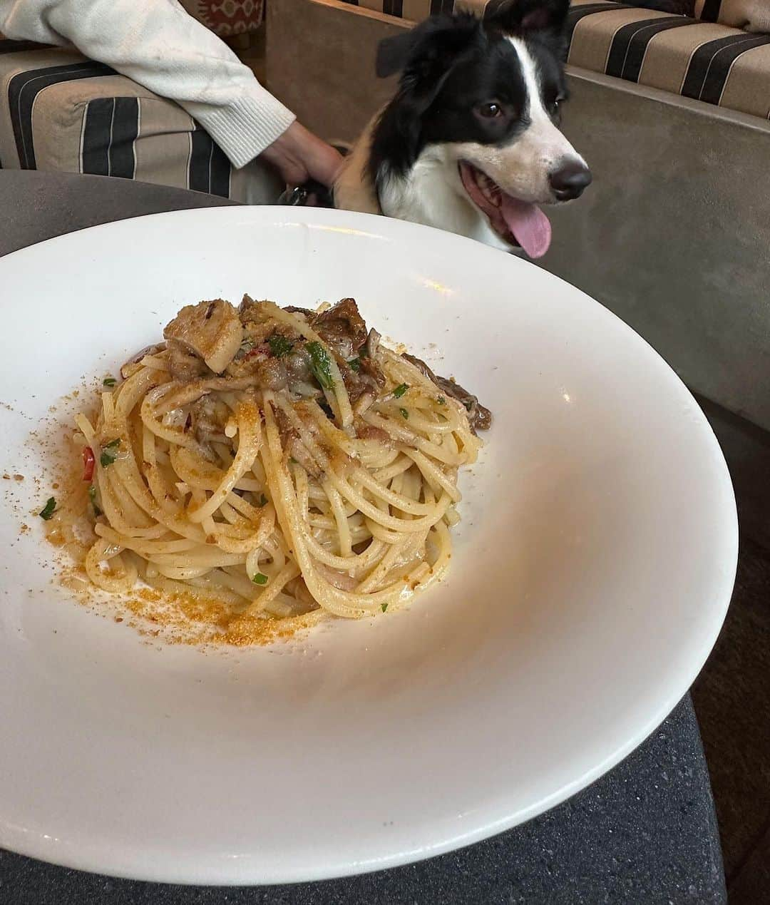 るっこのインスタグラム：「大好き mothers 🍝🥂」