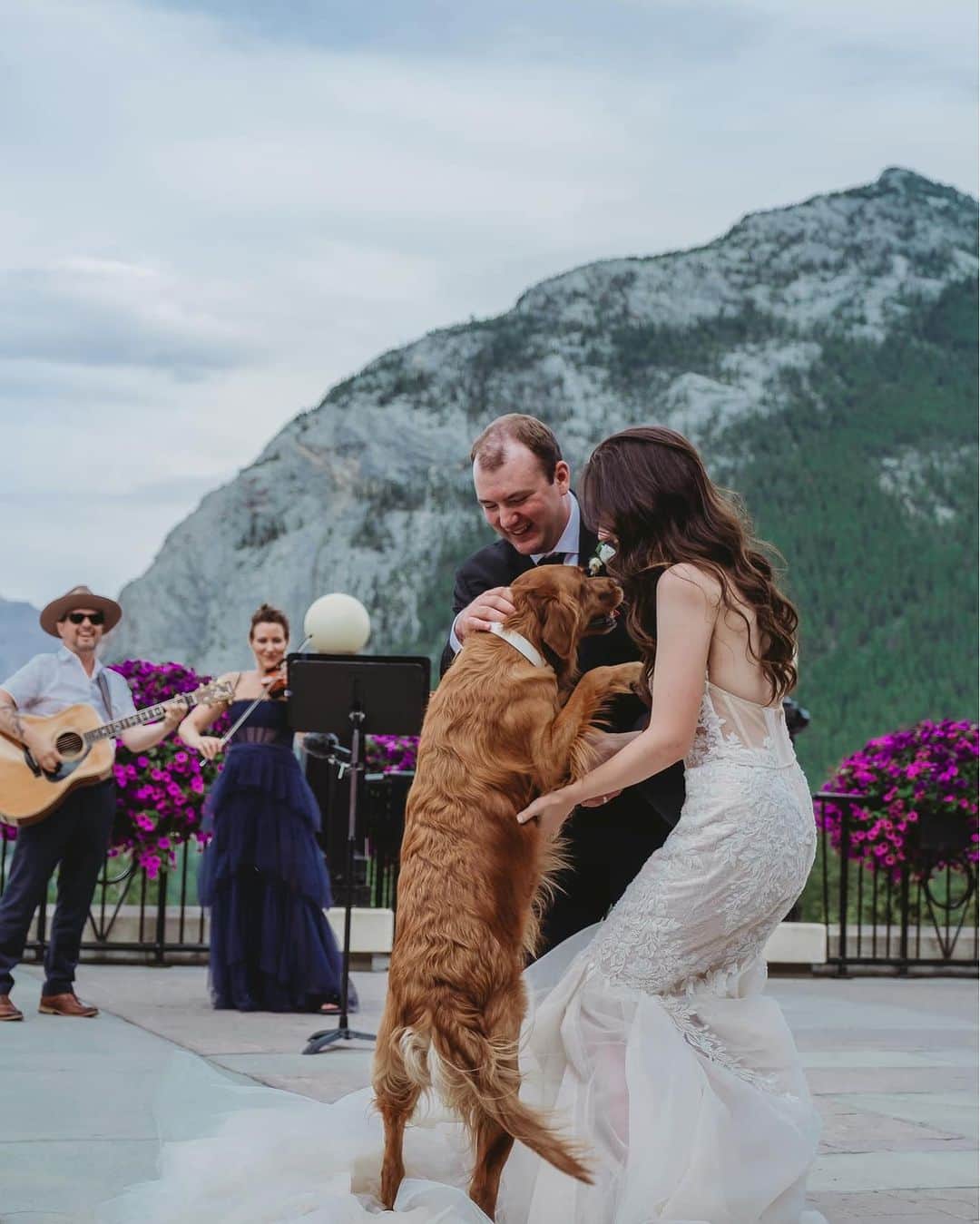 8crapさんのインスタグラム写真 - (8crapInstagram)「“Bailey was the star at my wedding 🥰🐶🐾” - Want to get featured like them? Join “The Barked Club” on FACEBOOK and post something now! 👉 barked.com - 📷 @adventuringbailey - #TheBarkedClub #barked #dog #doggo #GoldenRetriever」11月3日 19時00分 - barked