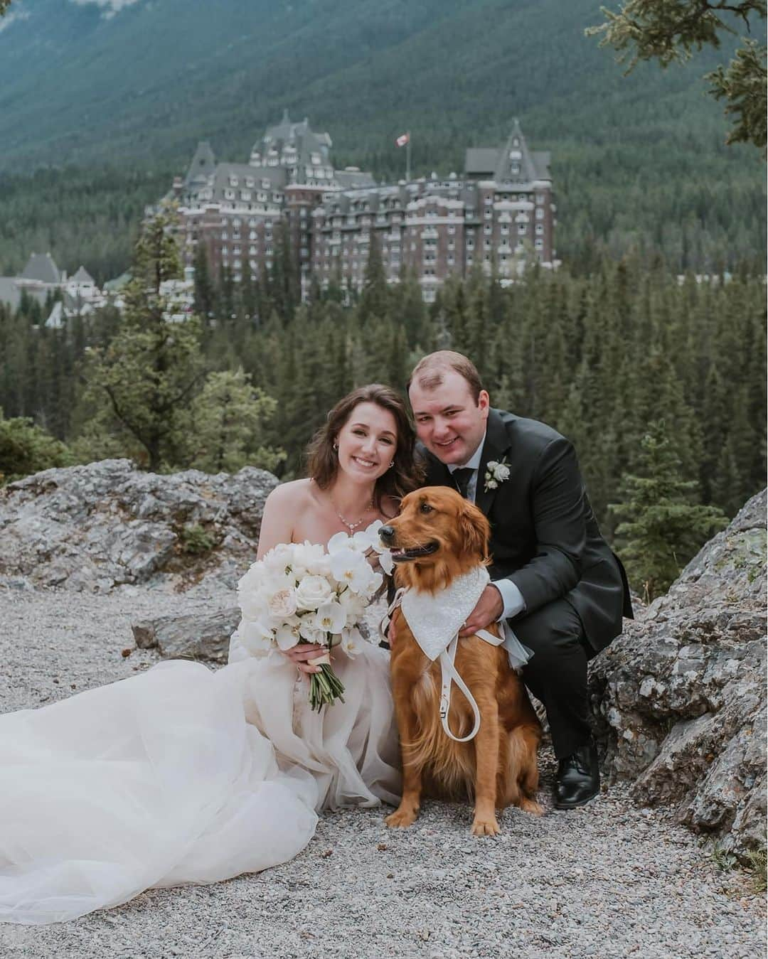 8crapさんのインスタグラム写真 - (8crapInstagram)「“Bailey was the star at my wedding 🥰🐶🐾” - Want to get featured like them? Join “The Barked Club” on FACEBOOK and post something now! 👉 barked.com - 📷 @adventuringbailey - #TheBarkedClub #barked #dog #doggo #GoldenRetriever」11月3日 19時00分 - barked