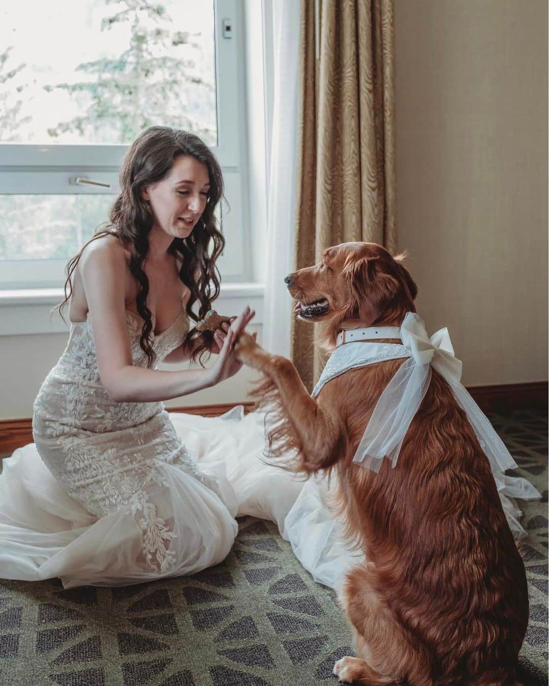 8crapのインスタグラム：「“Bailey was the star at my wedding 🥰🐶🐾” - Want to get featured like them? Join “The Barked Club” on FACEBOOK and post something now! 👉 barked.com - 📷 @adventuringbailey - #TheBarkedClub #barked #dog #doggo #GoldenRetriever」