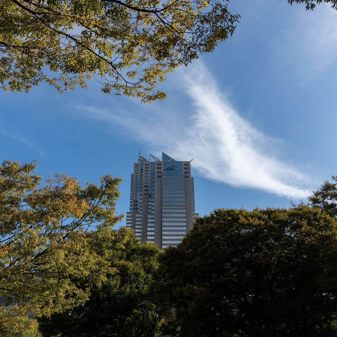 Park Hyatt Tokyo / パーク ハイアット東京さんのインスタグラム写真 - (Park Hyatt Tokyo / パーク ハイアット東京Instagram)「Everyone knows Tokyo is a busy, vibrant city, but do you know the other side of Tokyo? It is filled with natural wonders and outdoor adventures such as Shinjuku Central Park. Located across the street from Park Hyatt Tokyo, it is an urban oasis.  Share your own images with us by tagging @parkhyatttokyo  ————————————————————— #ParkHyattTokyo #ParkHyatt #Hyatt #luxuryispersonal #discovertokyo #autumn #shinjukucentralpark #shinjuku #パークハイアット東京 #秋空 #新宿中央公園 #新宿」11月3日 19時00分 - parkhyatttokyo