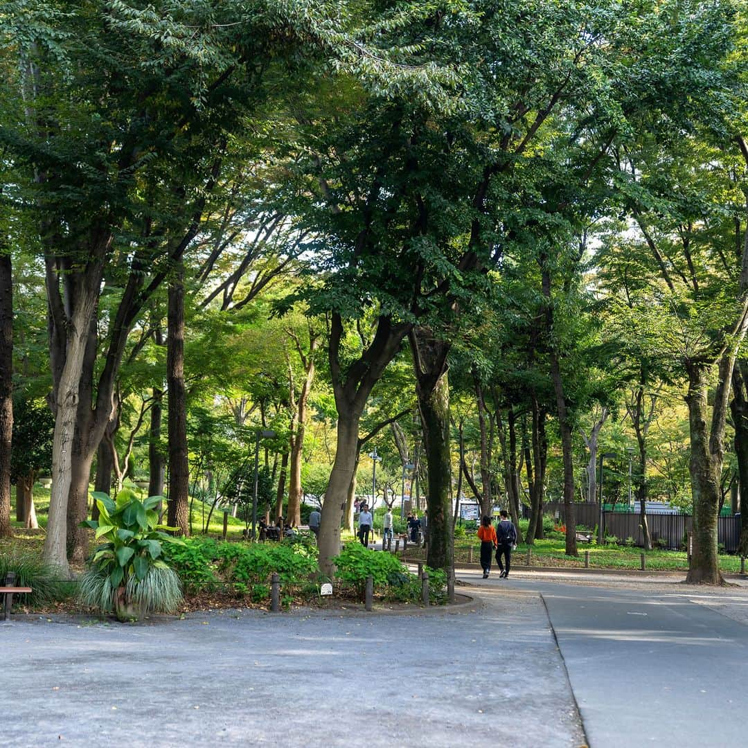 Park Hyatt Tokyo / パーク ハイアット東京のインスタグラム：「Everyone knows Tokyo is a busy, vibrant city, but do you know the other side of Tokyo? It is filled with natural wonders and outdoor adventures such as Shinjuku Central Park. Located across the street from Park Hyatt Tokyo, it is an urban oasis.  Share your own images with us by tagging @parkhyatttokyo  ————————————————————— #ParkHyattTokyo #ParkHyatt #Hyatt #luxuryispersonal #discovertokyo #autumn #shinjukucentralpark #shinjuku #パークハイアット東京 #秋空 #新宿中央公園 #新宿」