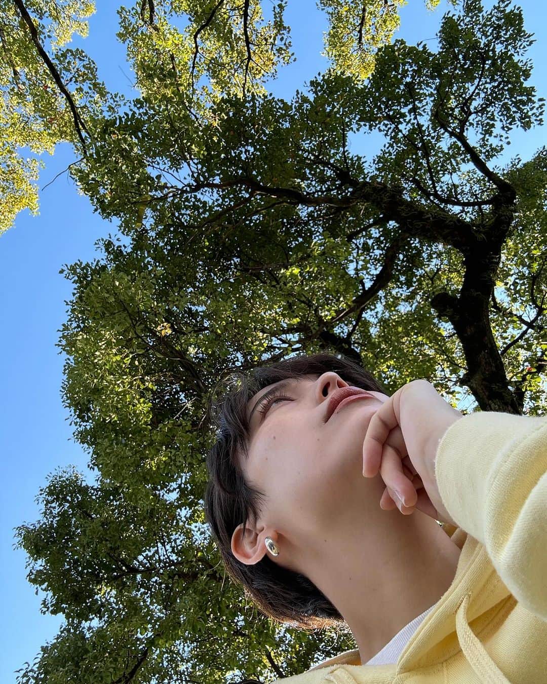 井手綾香のインスタグラム：「ついに明日、宮崎ワンマンです！ コツコツ準備してきたライブが、ついに明日本番を迎えて、明日の夜には終わってしまっているのかと思うと、不思議な気分🌴  宮崎は連日とってもいい天気で、毎日空を見上げています。夜は星を見たり虫の声を聞いたり、実家の猫ちゃんたちにゴロゴロすりすりしてもらったり🐈母の美味しい手料理を食べたり、いつだってマシンガントークの家族と笑い話をしたり。笑  どんな時も誰かを思いやって暮らしている温かい人達に囲まれて、凄くいいエネルギーをもらっています。  余裕がなくなってくると、ついつい物質的な事や数字に囚われそうになるけど、宮崎に帰ってくると、心と心で繋がることの大切さを思い出します💐  明日はきっと、素敵な1日になる！ みんなに会えることを心の底から楽しみにしています！✨  前売りチケットは本日24:00までです！ 当日券も準備できますのでお気軽にお越しください🎟️  #井手綾香 #ideayaka   11/4  宮崎限定ワンマンライブ @ LIVE HOUSE ぱーく 前売りチケットは11/3 24:00まで https://ideayaka.jp/news/269/」