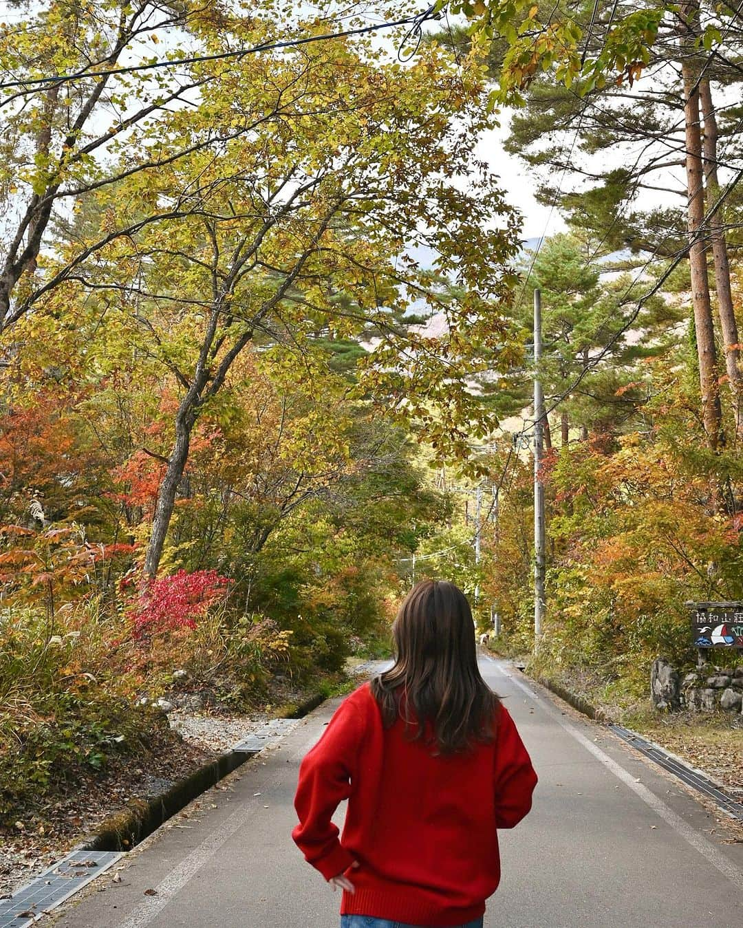 MEGのインスタグラム：「Shiki living  Akamatsu house 🍂  大自然に囲まれたお洒落な貸別荘。 📍北城 白馬村 北安曇郡 長野県 399-9301  #白馬 #白馬旅行 #紅葉 #紅葉スポット #秋旅行  #shikiliving」