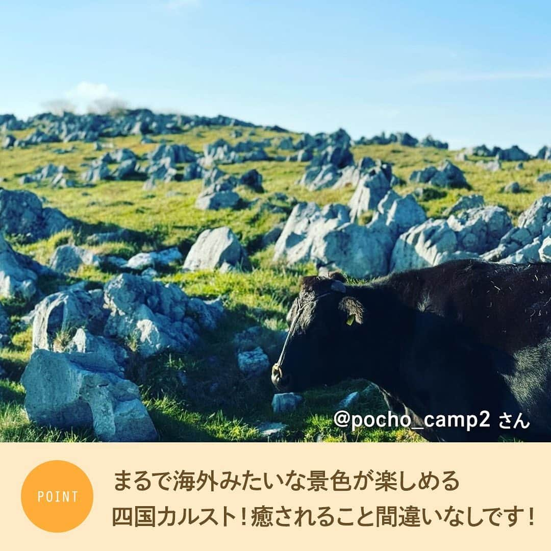 hinata_outdoorさんのインスタグラム写真 - (hinata_outdoorInstagram)「＼一度は行きたいキャンプ場🏕️✨／  せっかくアウトドアをするなら 最高のロケーションで楽しみたいですよね😆  絶景を見ながらのキャンプは 最高の非日常感を味わうことができます❗️  今回は街の夜景や星空を楽しめる キャンプ場をご紹介😊  ぜひ素敵なキャンプ時間を過ごしましょう✨  Photo by @shunsuke.moge @pos.camp @pocho_camp2 @megabass_destroyer @kaykcamp  素敵な写真をお借りしました✨ 他投稿も参考になるので是非のぞいてみてください😆  **************  #hinataoutdoor を付けて アウトドアシーンをアップしてください🏕  素敵な投稿はリポストさせていただきます!  〜hinataの別アカウント〜 ・こだわりのキャンプギア🔦  　@hinatastore_official ・キャンプ場紹介・予約⛺ 　@hinata_spot ・そとごはんのアイディア🍳 　@hinatakitchen **************  #絶景キャンプ #夜景キャンプ #星空キャンプ #キャンプサイト #キャンプ場 #キャンプ場探し #キャンプ場紹介 #キャンプ場情報 #九州キャンプ場 #四国キャンプ場 #西日本キャンプ場 #アウトドア用品 #キャンプグッズ #露營用品 #ソロキャンプ用品 #アウトドアグッズ #露營必備 #キャンプ準備 #ソロキャンプ用品 #山道具 #キャンプアイテム #キャンプ収納 #ソロキャンプギア #ギア #キャンプギア自作 #キャンプギア紹介 #キャンプギアdiy #キャンプギア収納」11月3日 19時11分 - hinata_outdoor