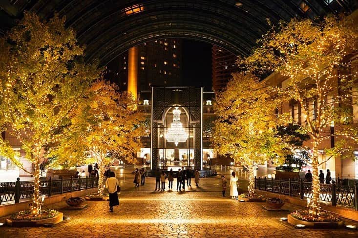 THE WESTIN TOKYO | ウェスティンホテル東京さんのインスタグラム写真 - (THE WESTIN TOKYO | ウェスティンホテル東京Instagram)「ウェスティンホテル東京では「Modern Classics」をテーマに全館でホリデーシーズンをお祝いします。   11月3日（金）よりロビーをロビーを華やかで温かな空気で包みこむクリスマスのデコレーションがスタートしました。吹き抜けの下には5メートルのツリーを設え、周りには雪が積もる山々や可愛らしいミニチュアの街並みが広がり、まるでおとぎ話のような世界観をお楽しみいただけます。山には精巧なゲレンデが、麓には小さな家や店、教会などの建物が並ぶ中、本格的なミニチュアの汽車が汽笛を鳴らしながら走り、森の中の小さな動物たちもクリスマスを祝うかのように顔を出します🎄   輝きに満ちたホリデーシーズンのご準備には、華やかなクリスマスケーキや伝統菓子、ホテルメイドのローストチキンなどをご用意しています。   11月11日（土）からは、恵比寿ガーデンプレイスのセンター広場に、世界最大級の『バカラシャンデリア』が登場（過去開催時の様子）。訪れる方々に希望と笑顔が生まれることを願い、総数250灯の明かりを灯します✨　　   ウェスティンホテル東京からは、平日夜及び土日祝を中心にウェスティン・フードトラックが出店。クリスマスシーズンにふさわしいフード＆ドリンクをご用意いたします。   光輝く恵比寿の街で、フェスティブシーズンの心あたたまるひとときをお過ごしください。     クリスマスコレクションの詳細はプロファイルのリンクより 恵比寿ガーデンプレイスのホリデーシーズンの詳細はこちら：gardenplace.jp/special/2023baccarat/     Discover a magical holiday season at Ebisu – our iconic winter wonderland festive decoration awaits in the hotel lobby featuring a dazzling 5-meter tall Christmas tree with a peaceful little village perched on the foothills of snowy mountains. Embark on a Christmas journey with our signature steam train to experience an authentic holiday atmosphere at this special time of the year.   Yebisu Garden Place is also not to be missed –the signature Baccarat crystal chandelier has been a long-standing popular Christmas spot in Tokyo, crafted with approximately 8,500 pieces of crystals which is the largest of its kind in the world.   The Westin Food Truck will also be available at Yebisu Garden Place Clock Plaza, pay us a visit and feel the warm and festive spirit of Christmas! Yebisu Garden Place Winter Illumination is available from November 11, 2023.     View Christmas Collection via our bio link Yebisu Garden Place Winder Illumination (Japanese only): gardenplace.jp/special/2023baccarat/     #ウェスティンホテル東京 #クリスマス2023 #ホテル #東京 #クリスマス #恵比寿イルミネーション #クリスマスギフト#ショートケーキ #イルミネーション #クリスマスパーティー #クリスマスイルミネーション #ウィンターイルミネーション #バカラシャンデリア #クリスマスケーキ #クリスマスツリー #恵比寿ガーデンプレイス #WestinTokyo #westin #hotel #Christmas #xmas #winter #christmasparty #christmascountdown #christmastime #christmas2023 #santa #dessert #Christmasillumination #Christmascake」11月3日 19時27分 - westintokyo