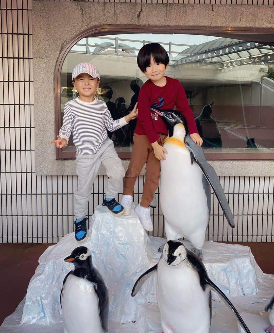 小川ひとみさんのインスタグラム写真 - (小川ひとみInstagram)「3連休🫶 友人Familyと和歌山へ🐼 アドベンチャーワールドへ行きました🥰 イルカのショーを見た後は トレインサファリに乗って🦁 娘達も抱っこ紐できょろきょろと 興味津々でした💓 美味しい海鮮を食べて 子供達も大満足で楽しかった🫶 和歌山、また行きたいな❤️ #shorttrip #和歌山 #白浜 #Family #6months #twins #4歳」11月3日 19時47分 - hitomy220