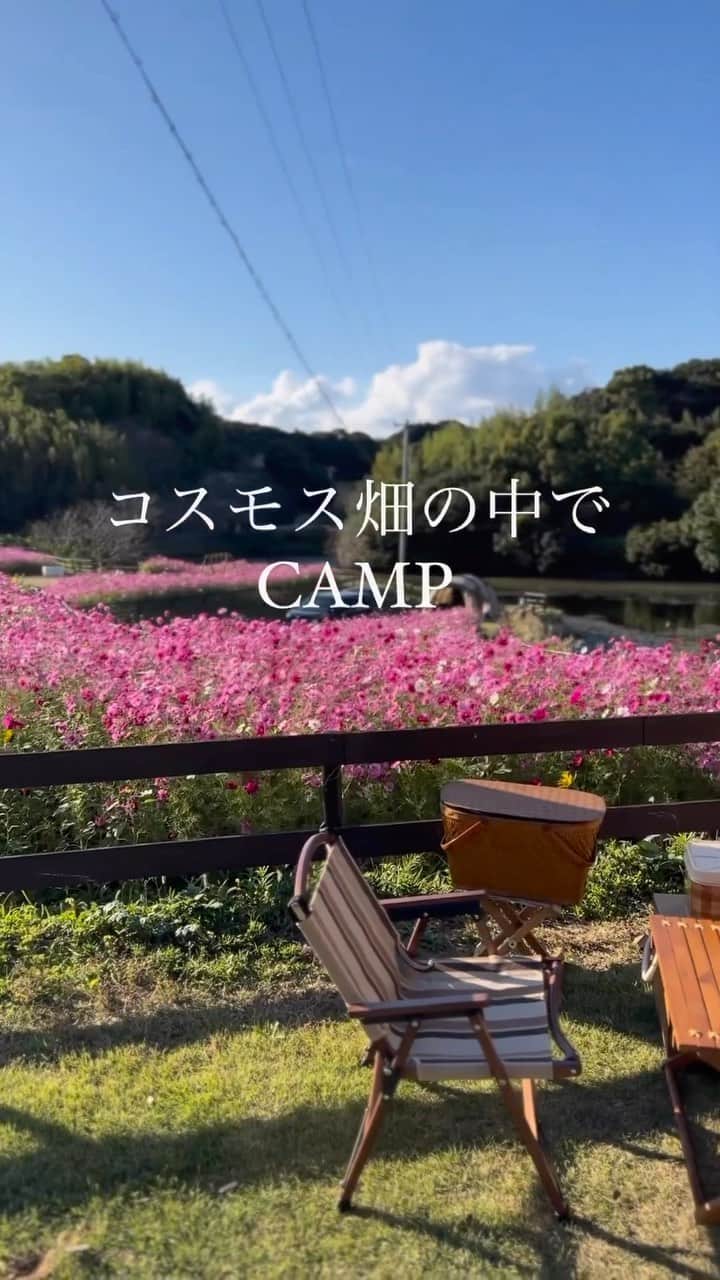 CAMP_HACKのインスタグラム：「コスモス畑を一望できるキャンプ場👀⁉️  キャンプサイトからコスモス畑を一望できるこちらのキャンプ場は 兵庫県洲本市にある「#マウントレイクキャンプ場」🏕️  春は桜を見ることもできて四季を感じれるキャンプ場✨ 気になる方はチェック👇 @mountlake2020  from CAMP HACK  Photo by @soto_biyori さん  #キャンプ場 #絶景キャンプ #キャンプ場紹介」
