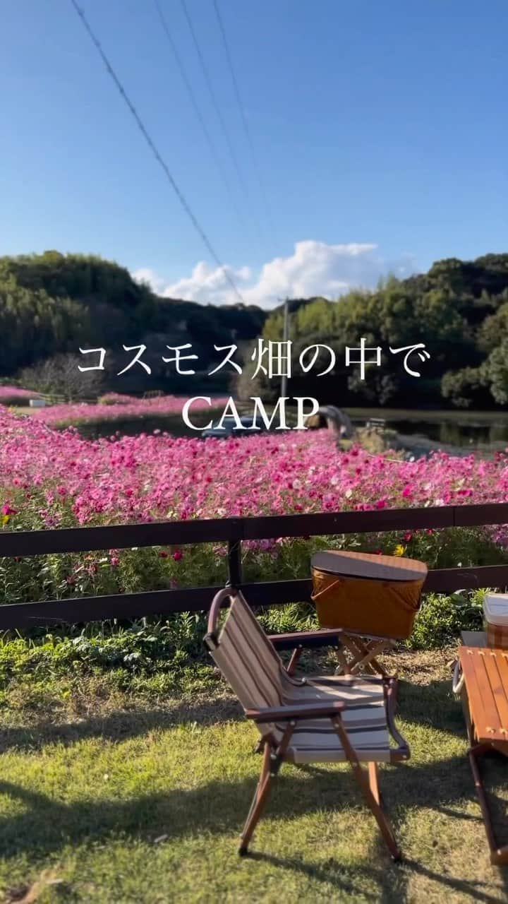 CAMP_HACKのインスタグラム