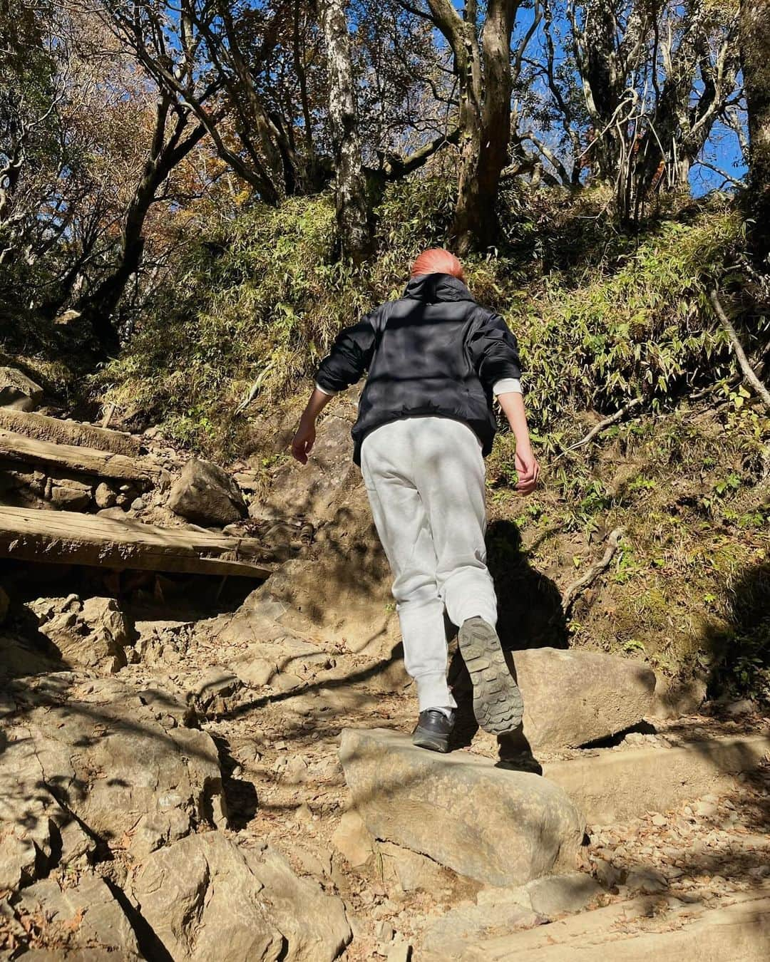 川島幸恵さんのインスタグラム写真 - (川島幸恵Instagram)「⛰️⛰️⛰️ ⁡ 大人になってからの初登山✨ 歩くのが好きなので、ハイキングはたまーに 行っていましたが🥾 ⁡ "初心者でも登りやすい"との事で、神奈川県の大山に 行ってきました😊 思っていたよりも険しい⚡️道のりでしたが、 頂上まで登りきったときの達成感💯 幻想的な景色も自分の足で歩いたからこそ、 ご褒美に感じます🙏 ⁡ 何よりも、空気が澄んでいて気持ち良くて いつものおにぎりが何倍も美味しい🍙🤤 自然の絶景に癒されて、ハマってしまいそう👀🌳 ⁡ ⁡ #大山登山 #大山山頂  #大山阿夫利神社  #国定公園  #登山 #ハイキング #休日 #休日の過ごし方」11月3日 20時37分 - sachie118