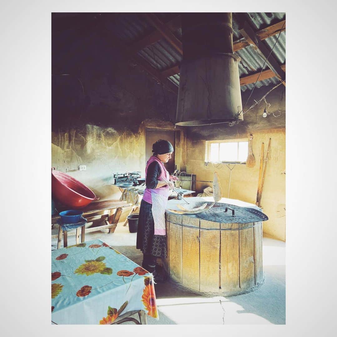 高橋ヨーコさんのインスタグラム写真 - (高橋ヨーコInstagram)「Kakheti Telavi のパン屋にて。 選ばれたこだわりの薪を使って窯で焼くそうです。  Stopped by a local bakery  in Telavi. She showed me how to bake the bread.  #transitmagazine  #ぐるぐるグルジア #ジョージア」11月3日 20時40分 - yoko1970