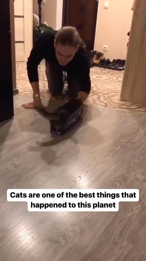 Cute Pets Dogs Catsのインスタグラム：「Cats are one of the best things that happened to this planet  Credit: adorable @zagranpasports ~ zagranpasports - TT ** For all crediting issues and removals pls 𝐄𝐦𝐚𝐢𝐥 𝐮𝐬 ☺️  𝐍𝐨𝐭𝐞: we don’t own this video/pics, all rights go to their respective owners. If owner is not provided, tagged (meaning we couldn’t find who is the owner), 𝐩𝐥𝐬 𝐄𝐦𝐚𝐢𝐥 𝐮𝐬 with 𝐬𝐮𝐛𝐣𝐞𝐜𝐭 “𝐂𝐫𝐞𝐝𝐢𝐭 𝐈𝐬𝐬𝐮𝐞𝐬” and 𝐨𝐰𝐧𝐞𝐫 𝐰𝐢𝐥𝐥 𝐛𝐞 𝐭𝐚𝐠𝐠𝐞𝐝 𝐬𝐡𝐨𝐫𝐭𝐥𝐲 𝐚𝐟𝐭𝐞𝐫.  We have been building this community for over 6 years, but 𝐞𝐯𝐞𝐫𝐲 𝐫𝐞𝐩𝐨𝐫𝐭 𝐜𝐨𝐮𝐥𝐝 𝐠𝐞𝐭 𝐨𝐮𝐫 𝐩𝐚𝐠𝐞 𝐝𝐞𝐥𝐞𝐭𝐞𝐝, pls email us first. **」