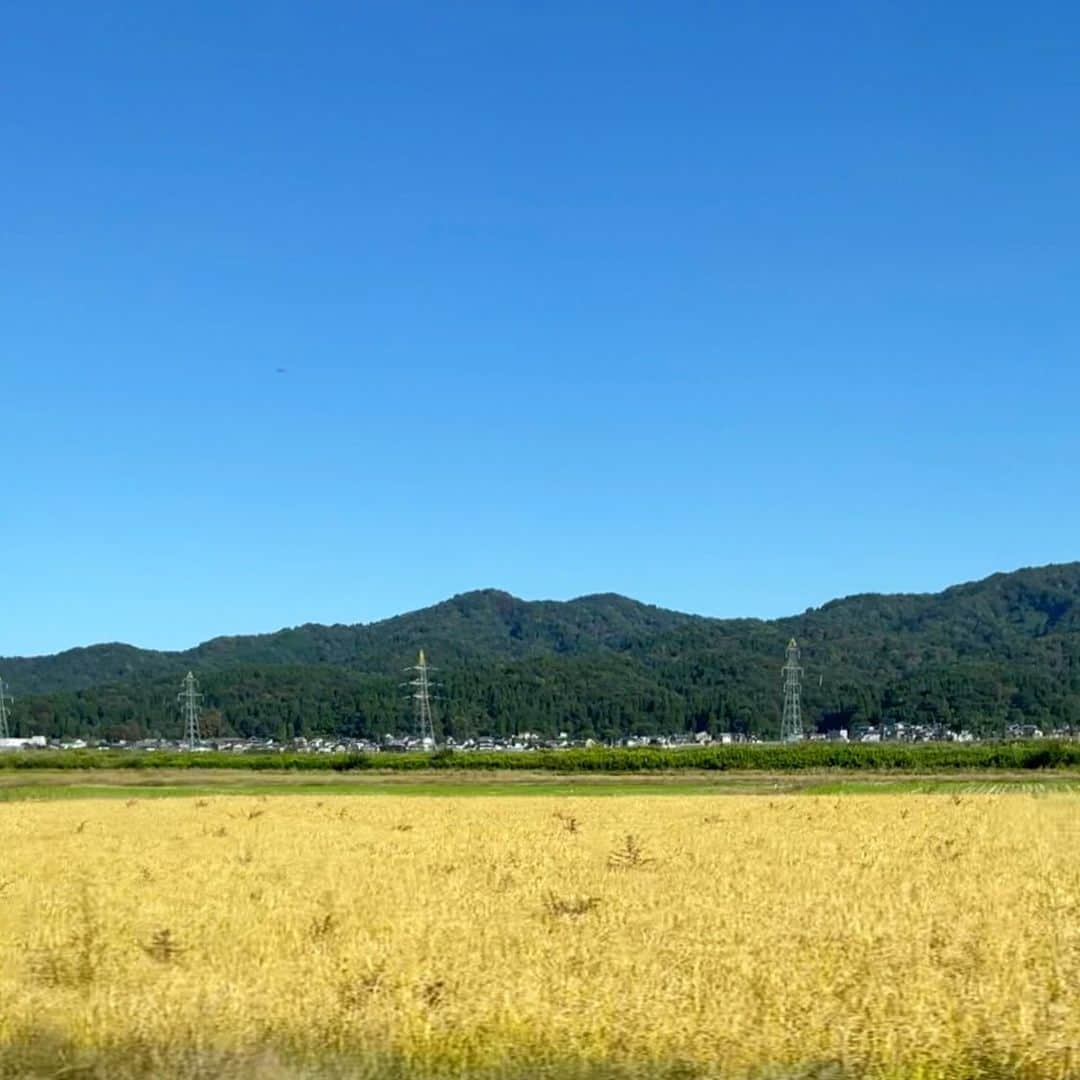 橘珠里さんのインスタグラム写真 - (橘珠里Instagram)「𝗡𝗶𝗶𝗴𝗮𝘁𝗮  少し前に訪れた新潟🌾  義妹の故郷⸝⸝⸝♡︎  優しいご家族とやっとお会いできました👏🏻  そして、美しい自然、美味しい食べ物、、 すっかり大好きな場所になりました ¨̮ ♬  体調が不安定なブレアもお利口に過ごすことができて一安心🐕‍🦺  幸せな時間でした⸝⋆  #niigata #niigatatrip  #新潟 #家族旅行 #信濃川 #ふっくらまんじゅう #小嶋屋 #へぎそば #ガトー専科 #長岡花火パイ #雪花火パイ」11月3日 20時47分 - jurinu