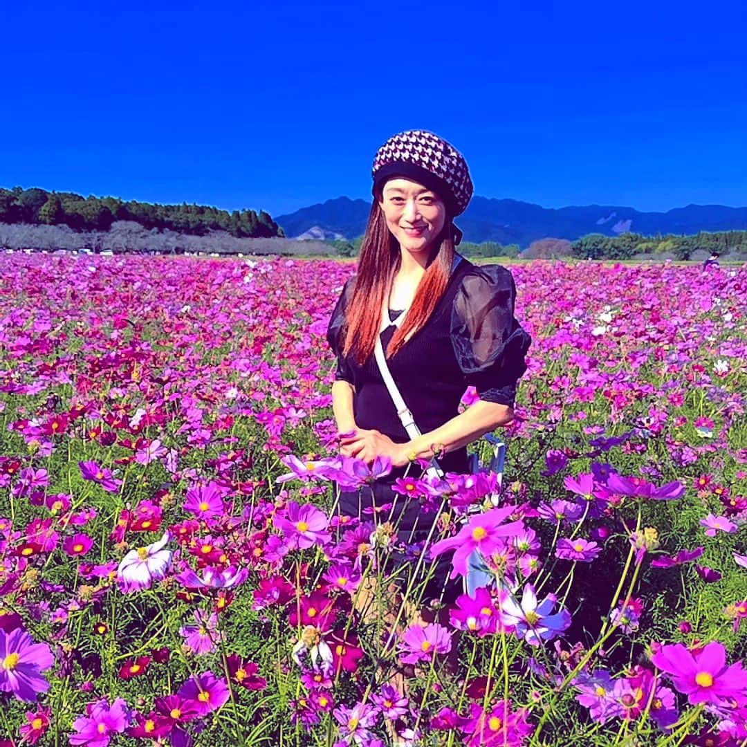 舞咲りんさんのインスタグラム写真 - (舞咲りんInstagram)「西都原にあるコスモス畑🌼  今日はとーーーーっても！ 日差しが強かった‼️‼️‼️  もう…１１月なんですけどーーー もう…秋なんですけどぉーーーー  半袖でイケるって… どーゆー事やねんっ🤦🤦🤦笑笑  コスモスも 暑くてたまらんっ💦💦💦  っていう、感じでした😅  だけど、とっても素敵で癒やされた✨✨✨  #舞咲りん #ヒメ #保育士 #保育士の休日 #三連休 #三連休初日 #三連休ばんざい #三連休の過ごし方 #ドライブ #ドライブスポット #西都原 #コスモス #コスモス畑 #コスモス畑🌸 #コスモス🌸 #コスモスとひまわり #コスモスナップ #秋桜 #秋桜畑 #休日 #休日コーデ #休日の過ごし方 #今日の服 #今日のメイク #暑い日 #秋 #なのに #夏 #でした #sns」11月3日 20時49分 - maisaki_rin_85