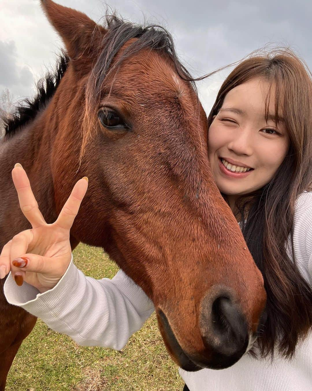 めいめいのインスタグラム：「トラックめいめい仕事終わりに北海道の旅に出る！！ 『札幌☞帯広 』片道 約200キロ  #トラックめいめい #初めてウマと触れ合う  #帯広市#帯広駅#日高#日勝峠 #日高町#アラビアンホースプランテーション井上牧場 #馬#休日#北海道#休日の使い方#hokkaido #obihiro」