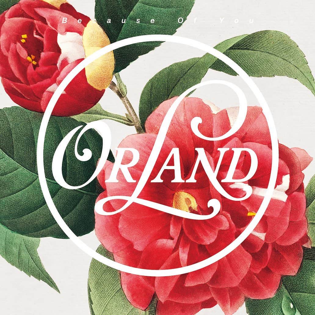 仮谷せいらのインスタグラム：「本日！名古屋の兄達、Orlandの Because Of You (7") がリリースになりました！ B面にはなんと！私も作詞させていただいた feat.Negiccoさんの、"Do-De-Da"が収録されています✨  2015年の夏前だったっけなぁ〜 当時のバイト中、中々歌詞が出来なくて焦っていた時に 自分の周りに居てくれる友達と普段してる ガールズトークを必死に思い浮かべて……笑 出てきたのが、曲のど頭の 「最近どう？なんて切り出して」でした🥹  声に出してみた時のメロと歌詞のスムーズさや、 そこからお話がどんどん広がりそうなワードに背中を押されて 猛スピードで歌詞が出来上がった思い出があります💓  Negiccoさんが歌っている所を想像して書いたから あの頃の私は、自分に超ぴったり！な歌詞ではないな、 大人女子な歌詞になったな〜と思っていたと思いますが… 今の私には染み染みでございます😂👍  ずっとずっと何年も 愛される楽曲になってとっても嬉しいネギネギ〜！！！！  そして！！！ Orlandの"Because Of You"もリリースから10年😳 おめでとうございます！！！✨ マネさんは自分のお葬式でこの楽曲を最後にかけてほしい！ と言ってましたよ〜😂😂笑  是非皆々様！ゲットしてね💚  A面 : Because Of You B面 : Do-De-Da 〜Trimondo Negimina〜 feat.Negicco」