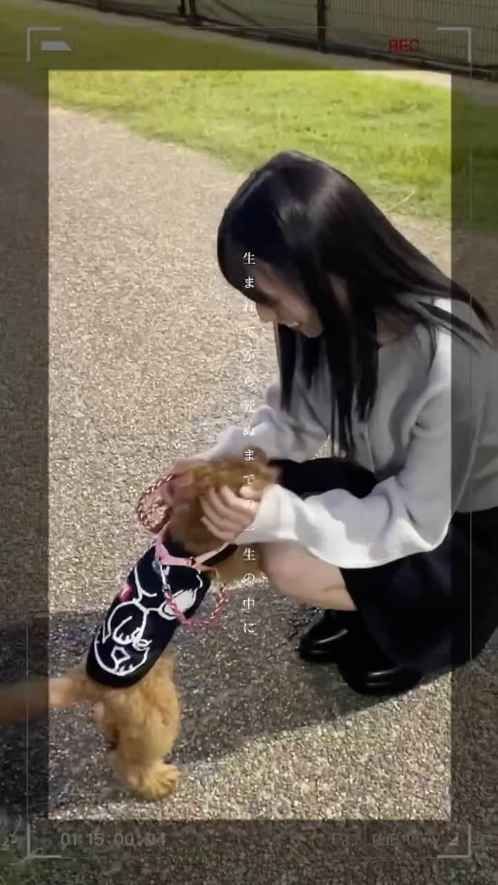 有働優菜のインスタグラム：「もなちゃん家族になってくれてありがとう🐶 これからもよろしくね🐶   #ミディアムヘア #顔周りカット #外ハネボブ #ボブ #ポートレート #ootd #ootdfashion #japanesegirl #followme #followmejp #팔로우 #셀카 #좋아요 #일본 #犬のいる暮らし #トイプードル #mix犬」