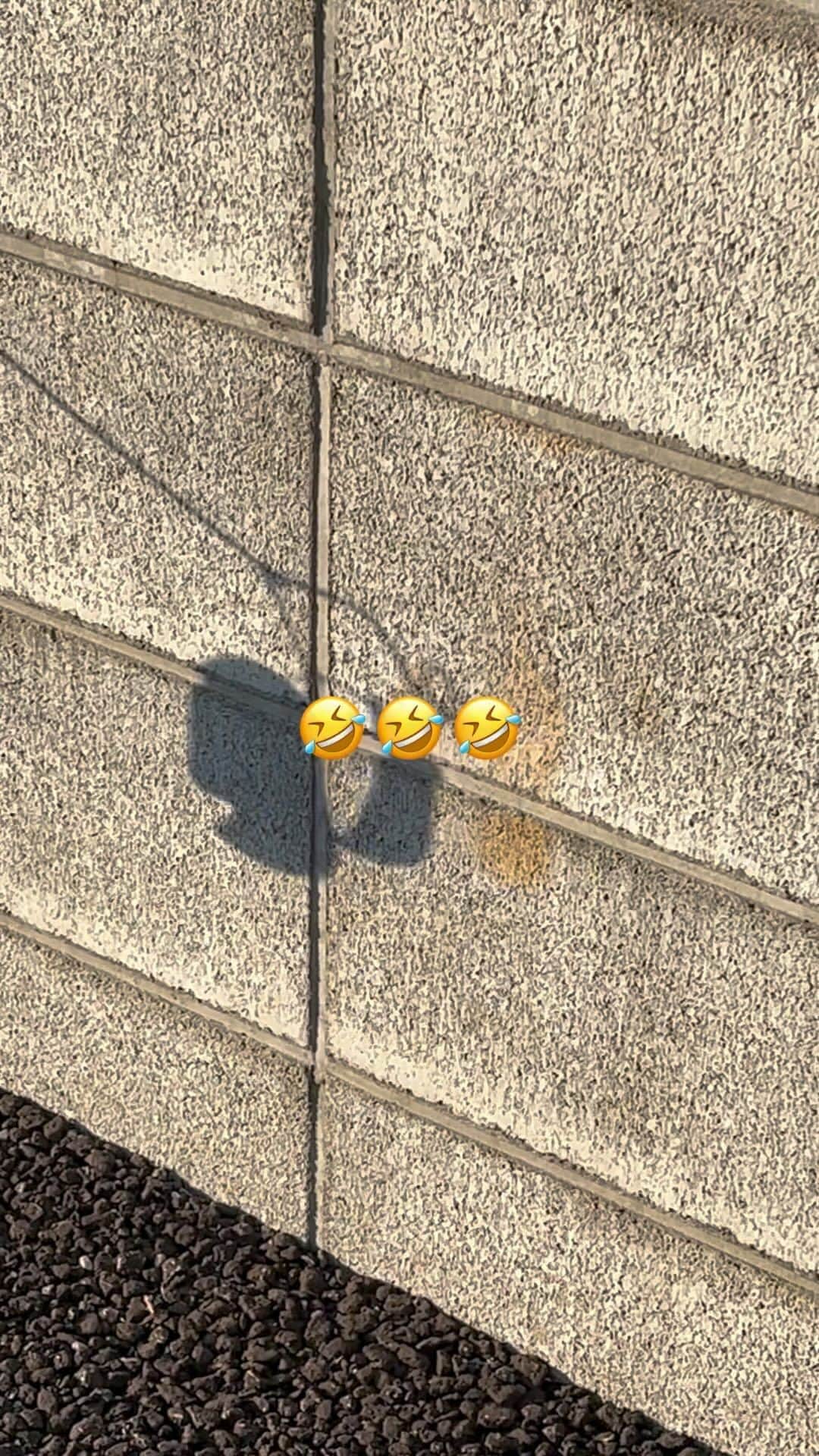奥井亜紀のインスタグラム：「#お散歩は三歩でも良し  #顔にしかみえない」