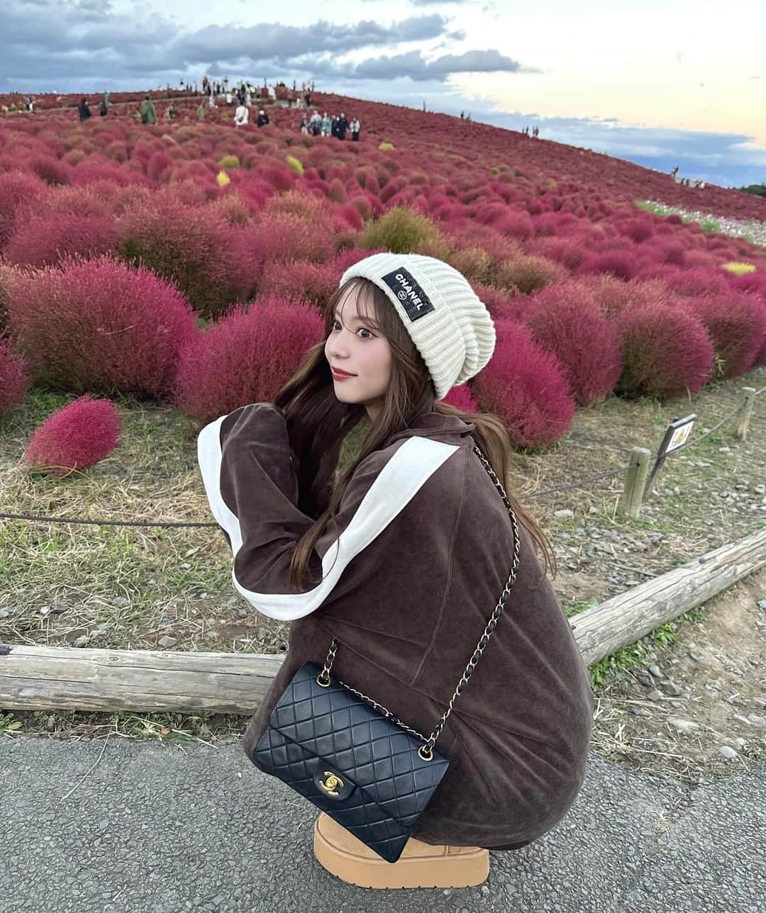 ひなさんのインスタグラム写真 - (ひなInstagram)「・ ・ 数年ぶりにコキア🍁見に行ってきたの！ 市場にも寄って安さにびっくりして沢山買った🦪💗😌 蟹味噌と蟹汁おいすぎた、、、、、♡ #コキア #市場 #jeanasis#ジーナシス #chanel #fyp ・」11月3日 21時15分 - hh_i_ii