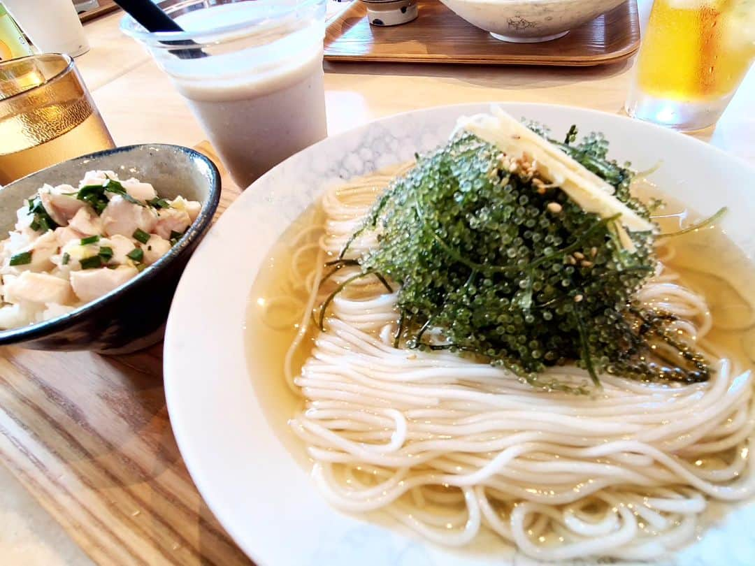 松本康太のインスタグラム：「『宮古冷麺』  宮古島のパイナガマビーチ「PAINAGAMA BEACH CLUB」という建物の中にあるロバート馬場ちゃん考案「宮古冷麺」が食べれるお店！　  冷麺と海ぶどうがめちゃくちゃマッチしてて美味しいのです(*^O^*)！！！　 中にツナも入ってて食べ応えもあったよ。  カオマンガイも島バナナジュースもとても美味しかった！  平良にあるので繁華街から比較的行きやすいですよ(^-^ゞ　11時～15時　  #宮古島#宮古冷麺#海ぶどう#絶品冷麺#宮古グルメ#パイナガマビーチ#島バナナ#島バナナジュース#レギュラー松本#あるある探検隊」