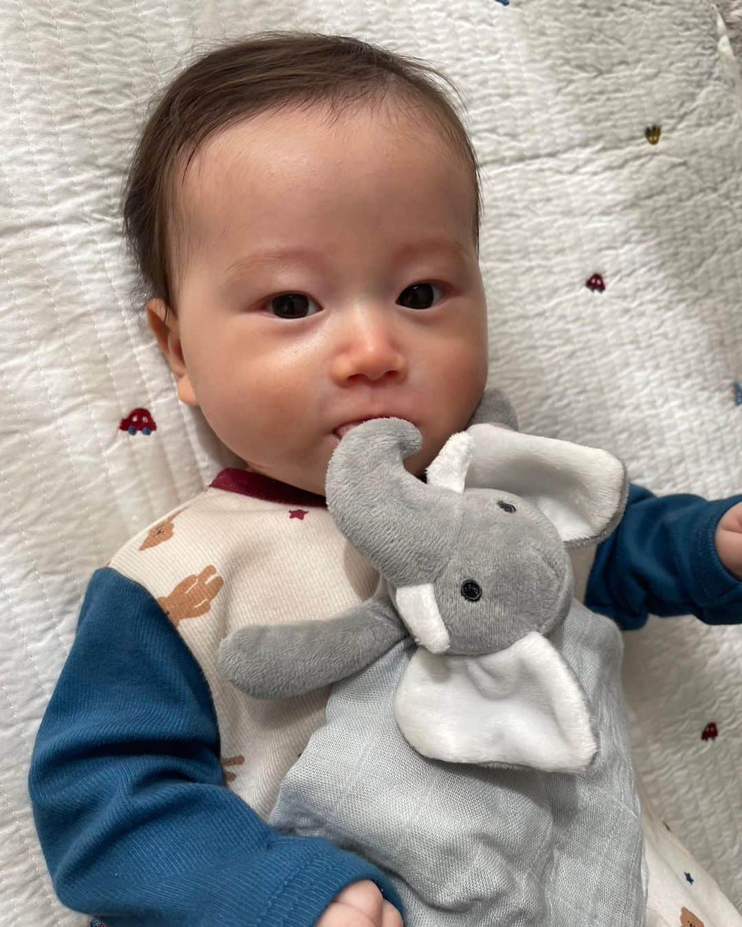 藤田弘輝さんのインスタグラム写真 - (藤田弘輝Instagram)「Almost 4 Months!  We love you my little best friend.」11月3日 21時37分 - theofujita