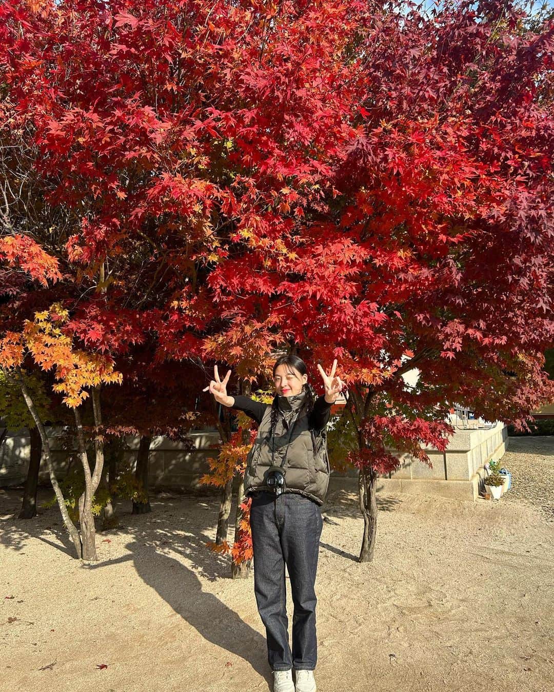 へウォン さんのインスタグラム写真 - (へウォン Instagram)「눈에 뭐 들어간거 아님,,🍁🍂」11月3日 21時44分 - minharam_