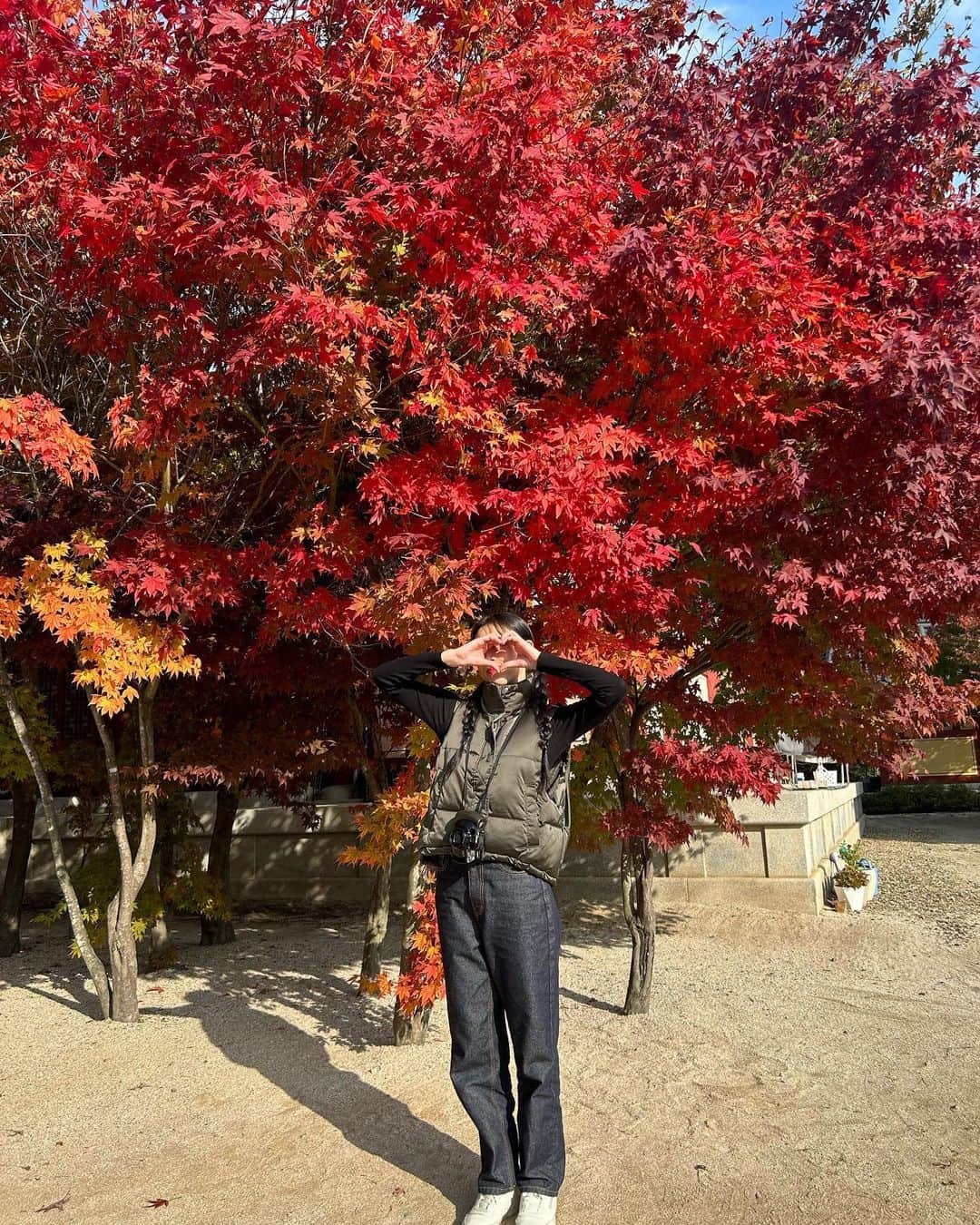 へウォン さんのインスタグラム写真 - (へウォン Instagram)「눈에 뭐 들어간거 아님,,🍁🍂」11月3日 21時44分 - minharam_