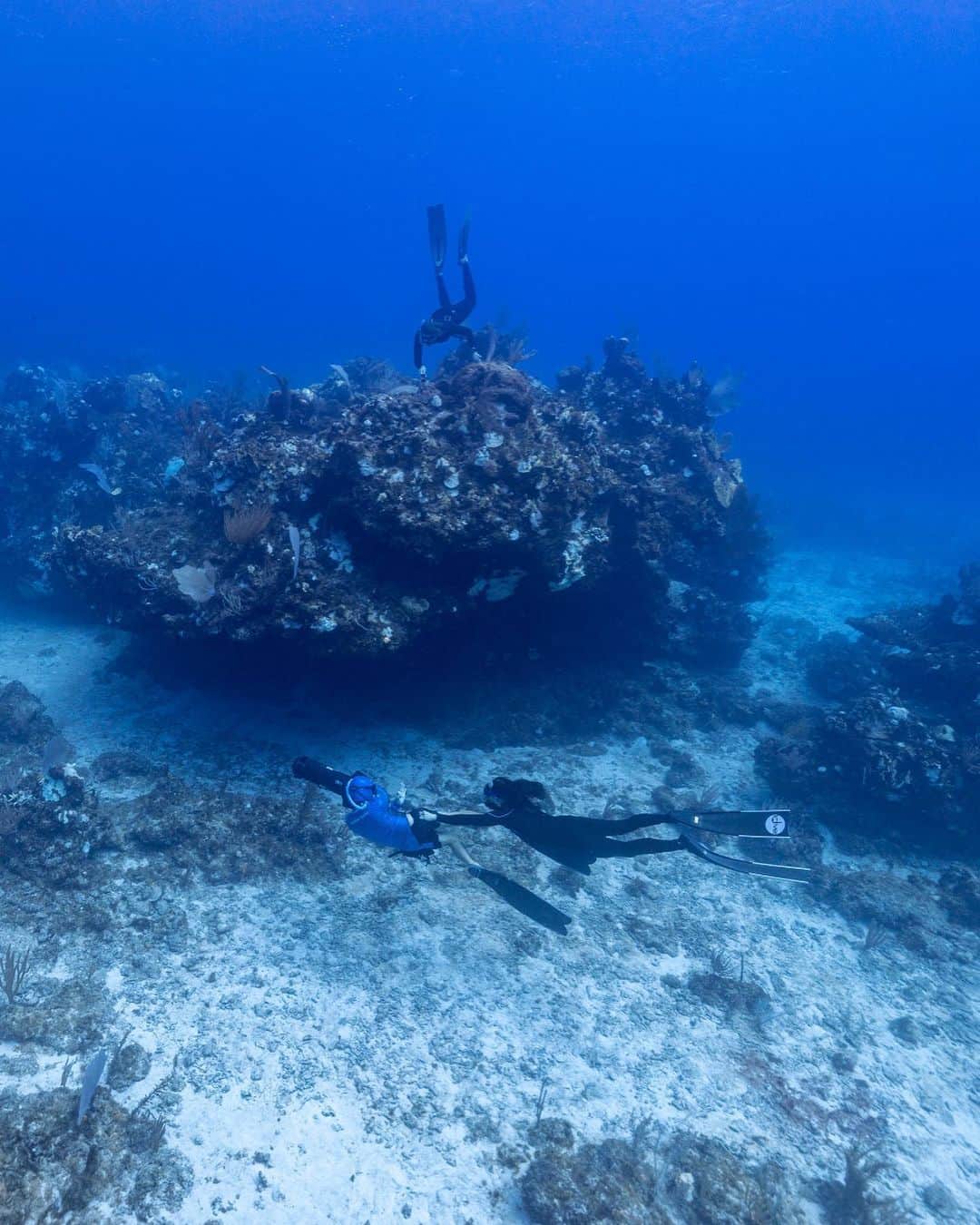 スティーヴ・アオキさんのインスタグラム写真 - (スティーヴ・アオキInstagram)「Dove down to 45 feet Breath hold over 40 seconds. Personal Record so far. Also checked off Cayman Islands Dive. Def won’t be the last there」11月4日 7時13分 - steveaoki