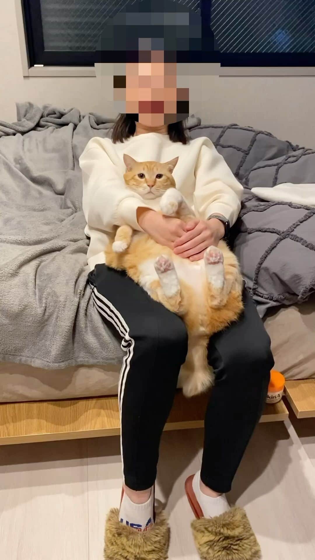 ぐっぴーのインスタグラム：「＊ 腹筋とぅげざー。 ・ #シックスパッぐ #ニャンダーコア ・ Guppy and I are doing sit-ups.」