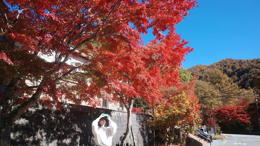 高橋メアリージュンさんのインスタグラム写真 - (高橋メアリージュンInstagram)「🍁 #紅葉 #autumnleaves」11月4日 7時45分 - maryjuntakahashi