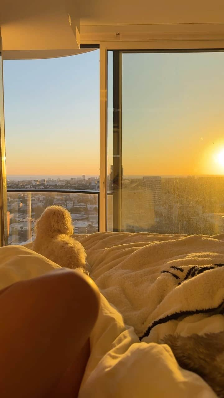 レイチェルロイのインスタグラム：「Our calm down in the clouds☁️☀️🐶 Welcome to our new apt 🤍  #RachelRoy #Calmdown #Sunset #peace」