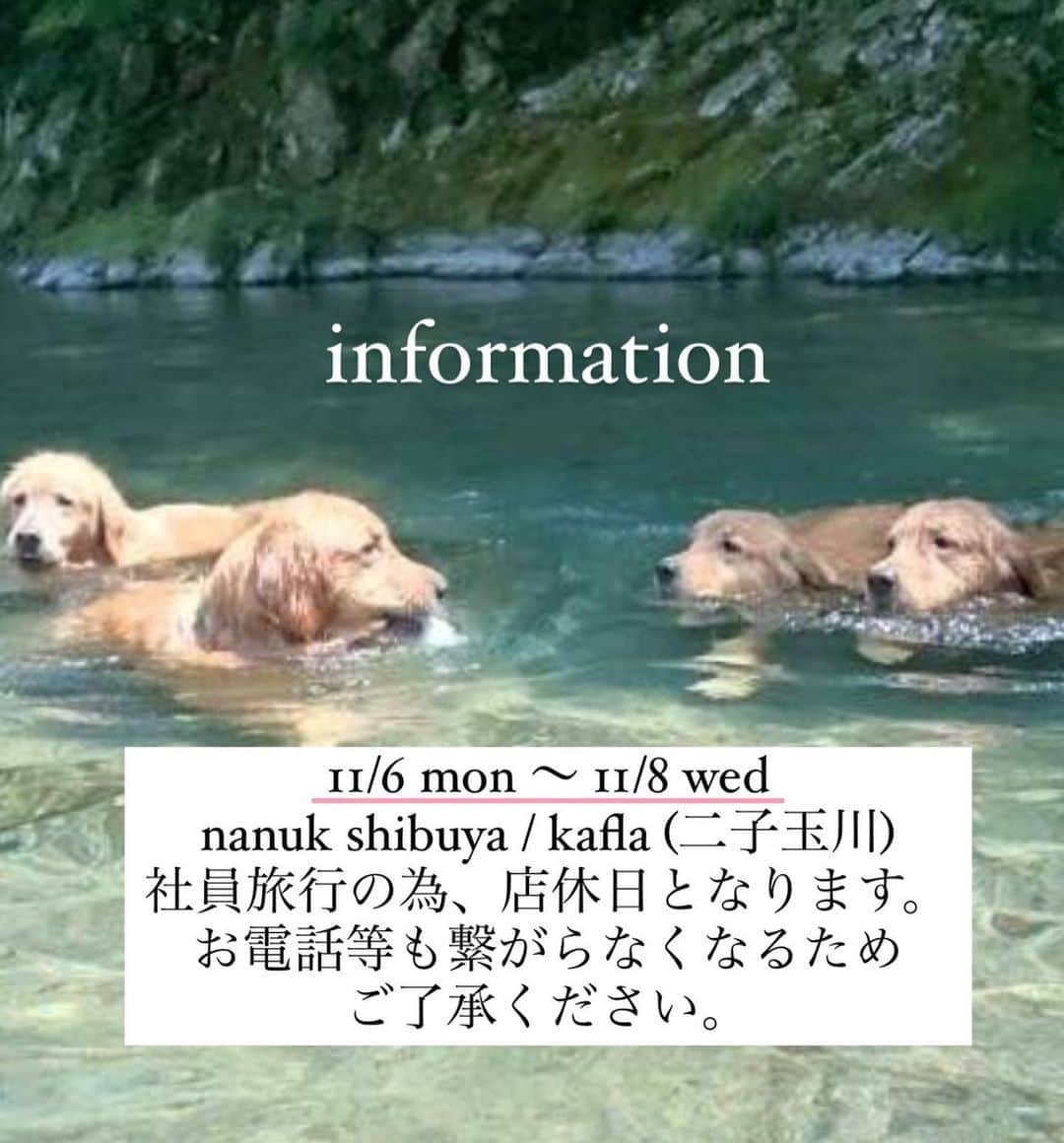のインスタグラム：「11/4.5.9.10のご予約可能状況です！ . 11/6〜8は社員旅行のため、渋谷店、二子玉川店ともに店休日をいただきます。 それに伴い、お電話も繋がらなくなりますので、ご予約のお電話はキャンセル等はお早めにお願いいたします。 . ご予約可能状況は、画像作成時より変化する場合がございますので、お気軽にお問い合わせください。 . nanuk shibuya 03-6450-6032」