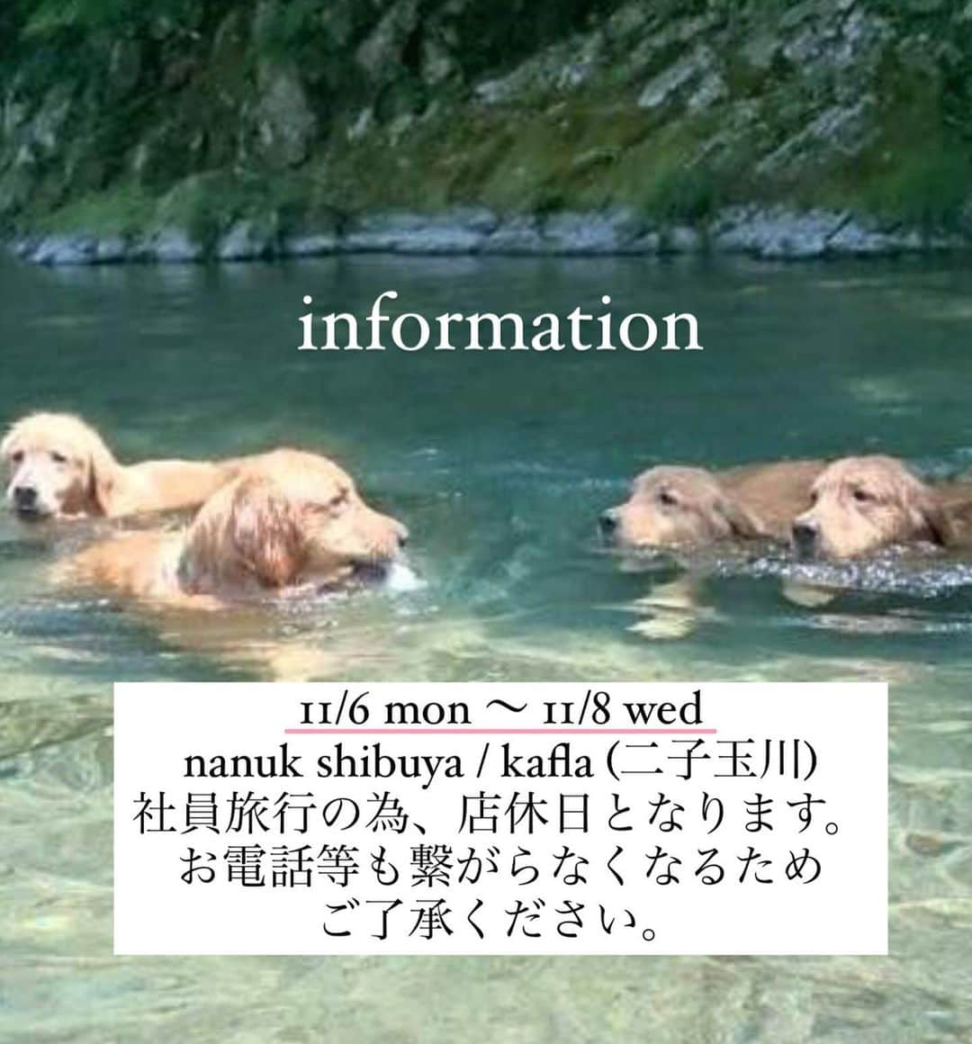 nanukのインスタグラム：「11/4.5.9.10のご予約可能状況です！ . 11/6〜8は社員旅行のため、渋谷店、二子玉川店ともに店休日をいただきます。 それに伴い、お電話も繋がらなくなりますので、ご予約のお電話はキャンセル等はお早めにお願いいたします。 . ご予約可能状況は、画像作成時より変化する場合がございますので、お気軽にお問い合わせください。 . nanuk shibuya 03-6450-6032」